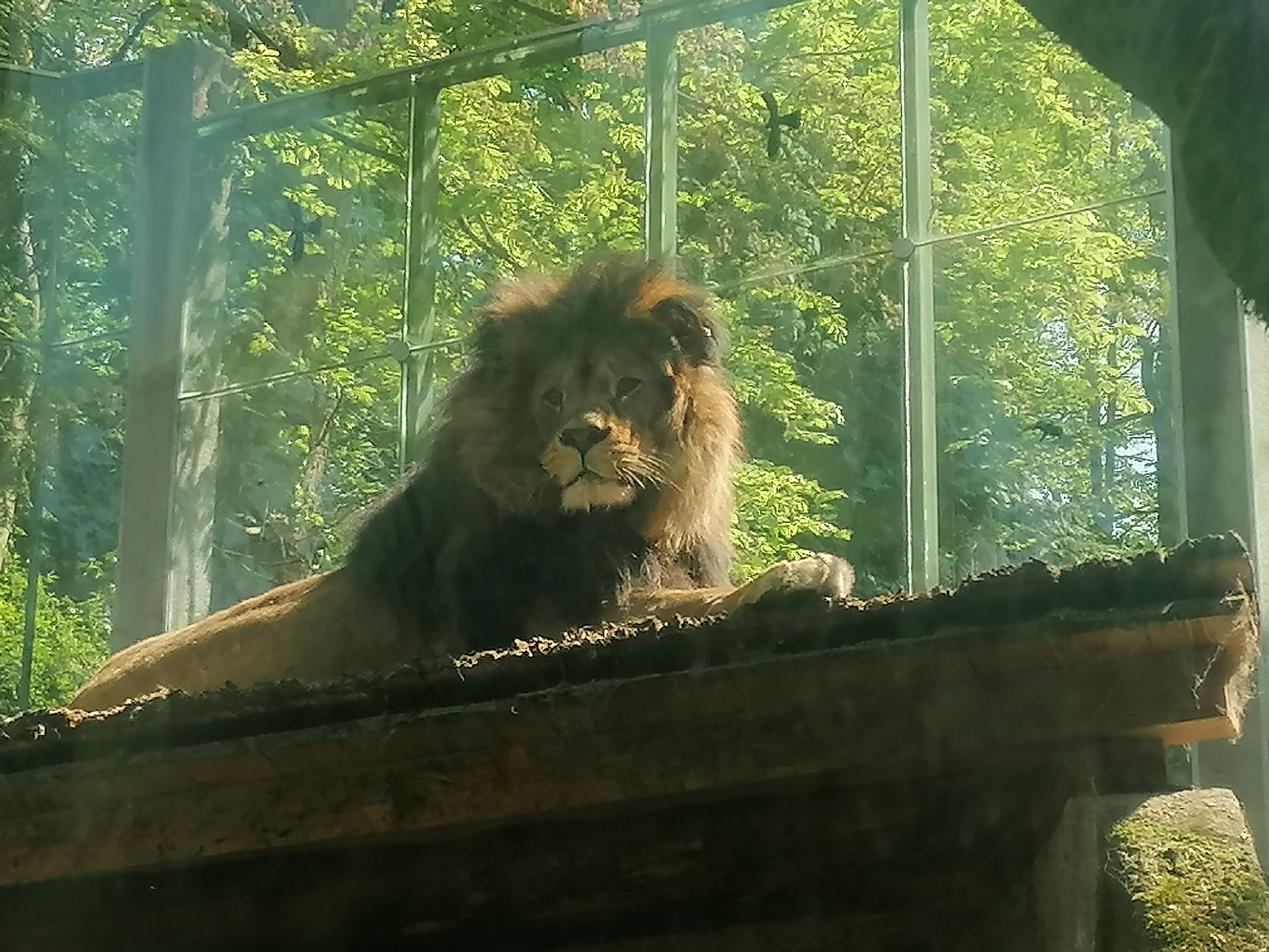 Zoo Liberec foto 6