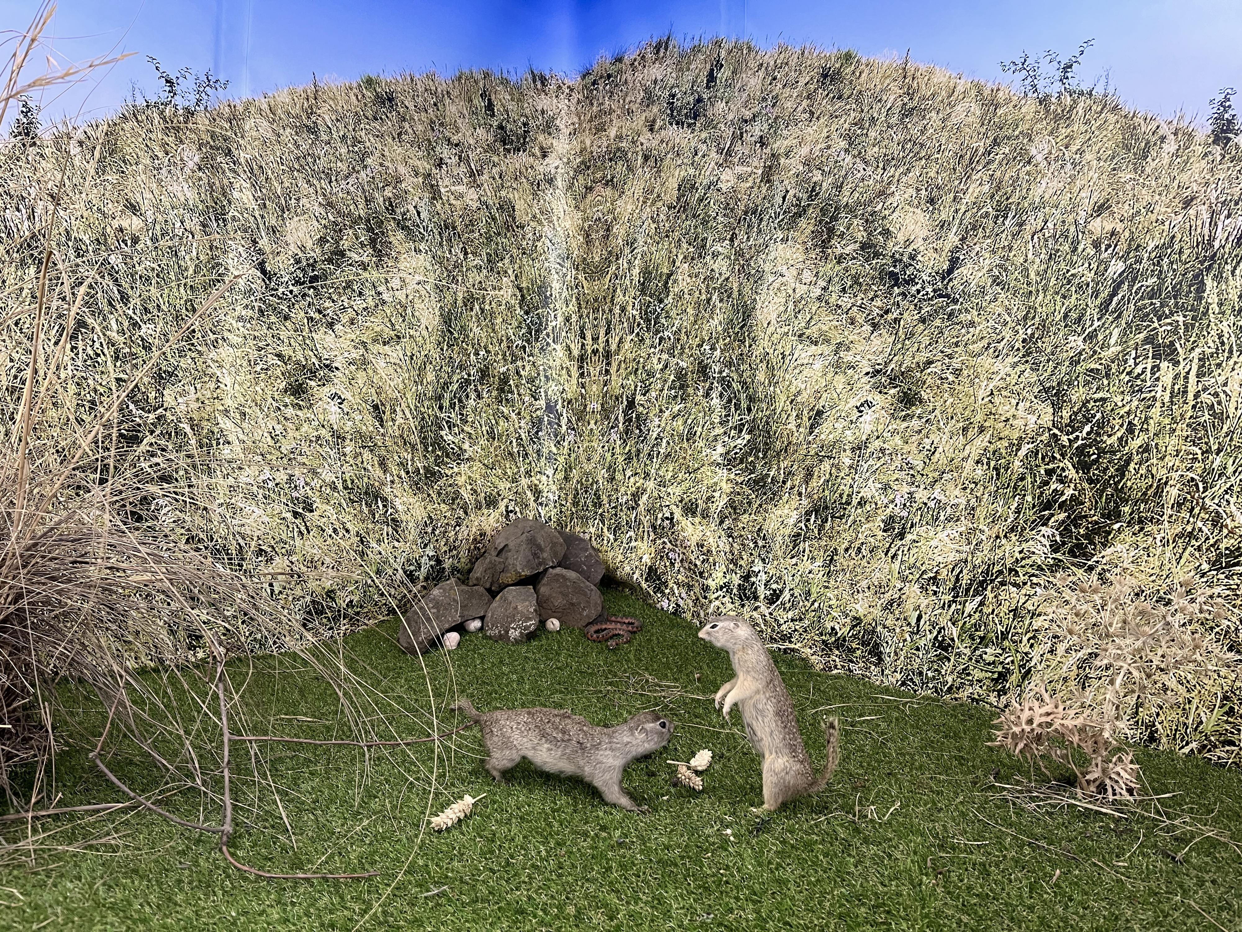 Oblastní muzeum v Lounech foto 3