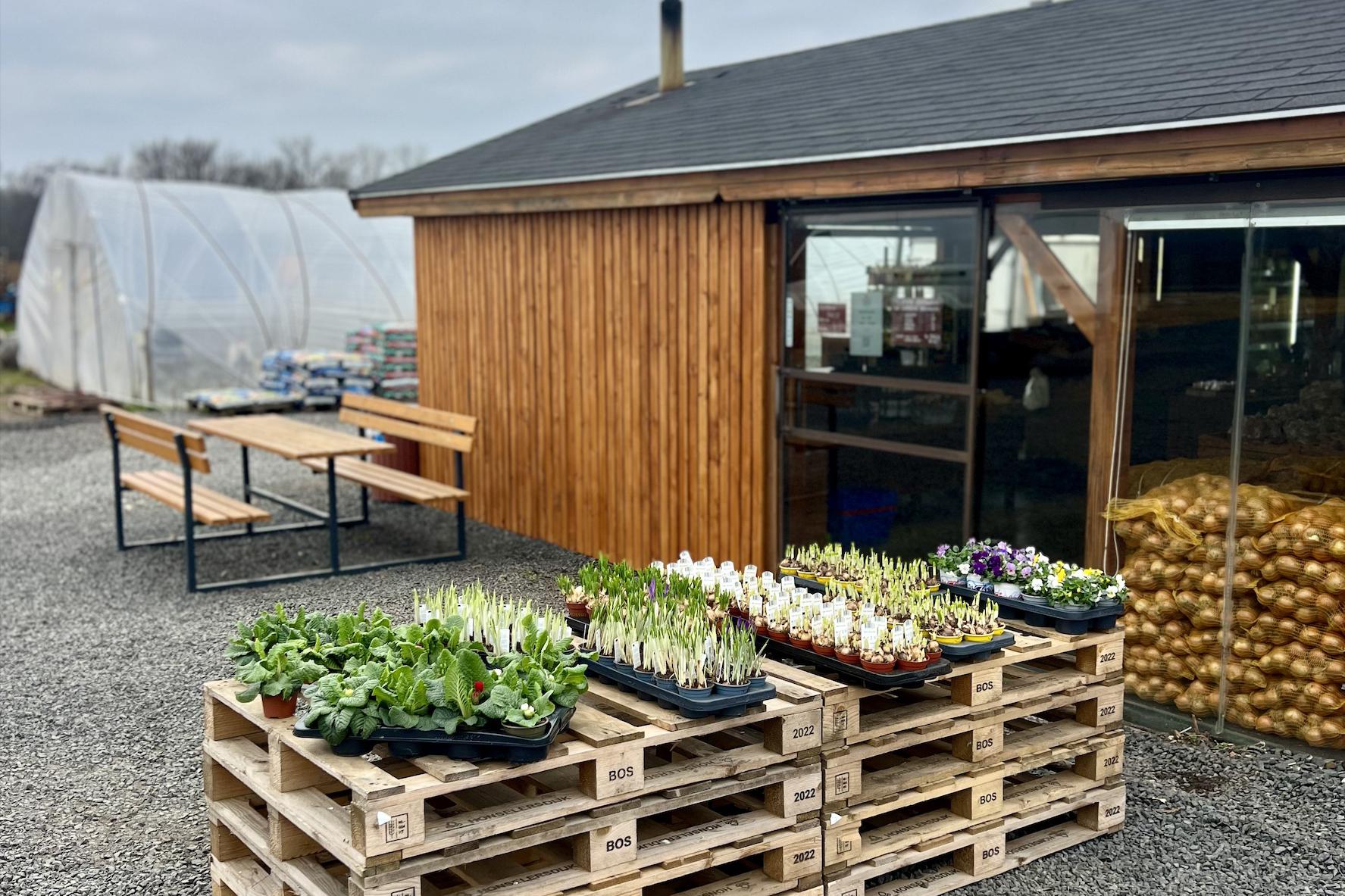 Farma Jahodárna Brozany