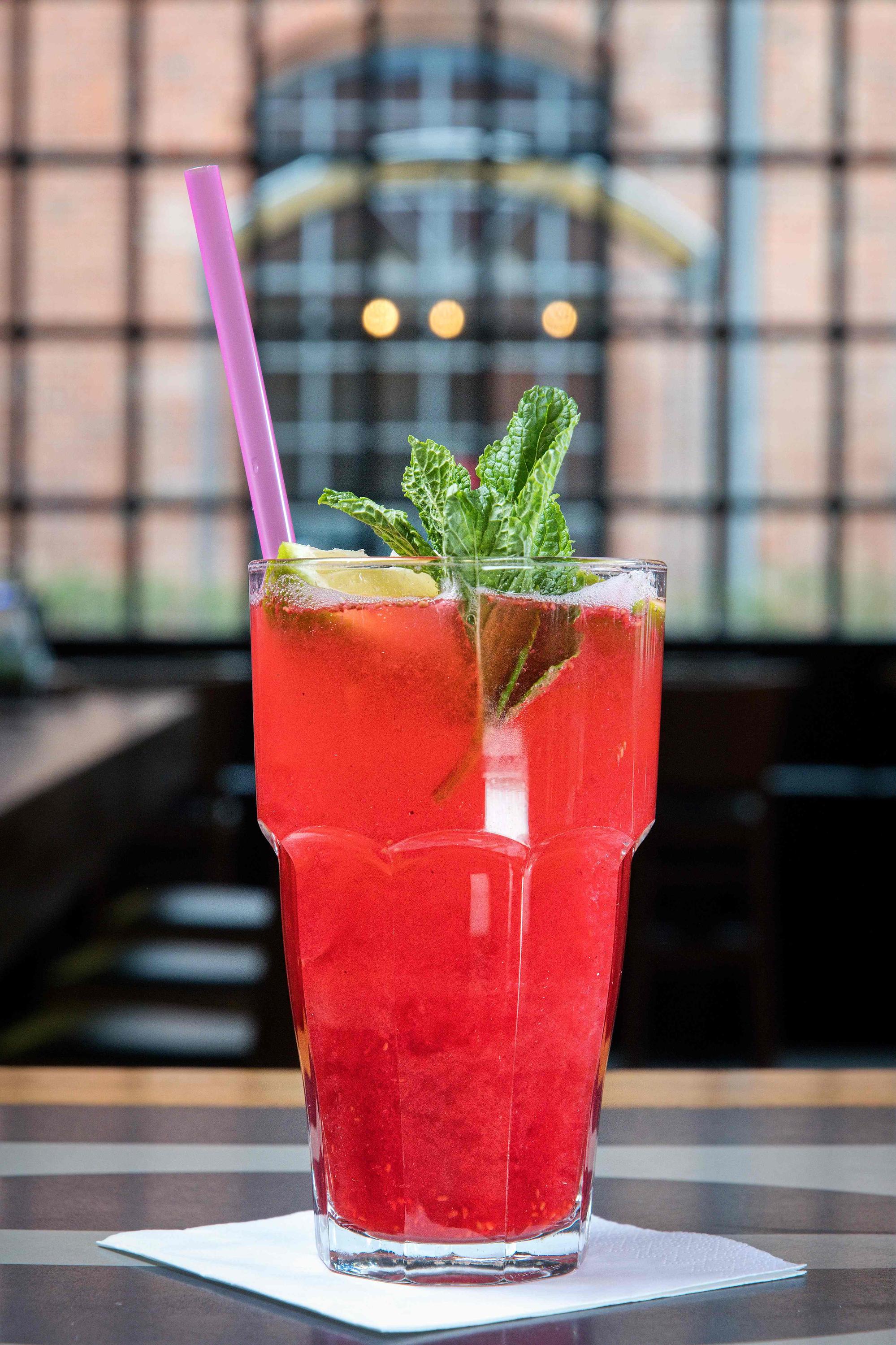 Potrefená Husa Vaňkovka foto 4