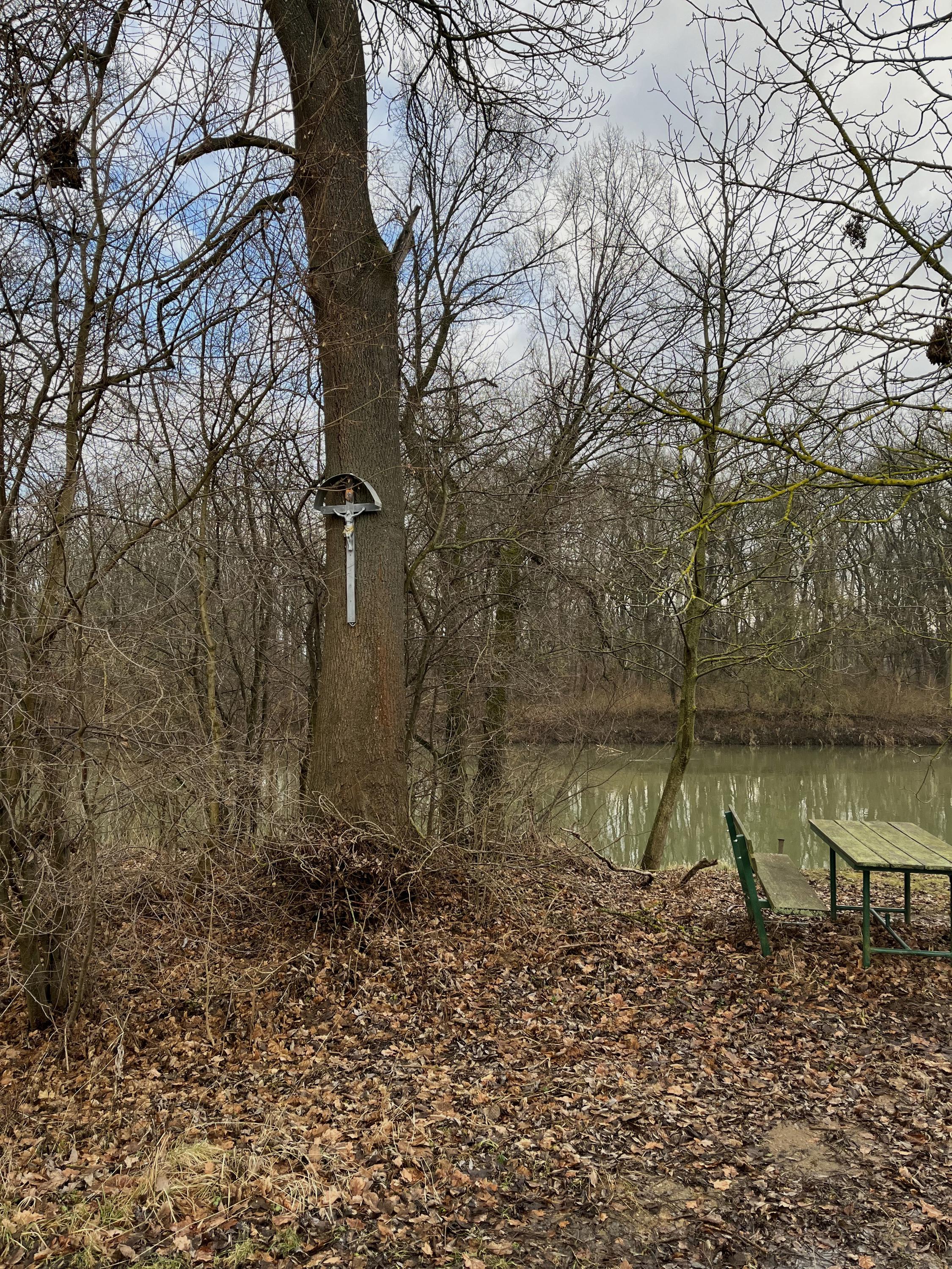 Půjčovna lodí a paddleboardů Rohatec foto 6