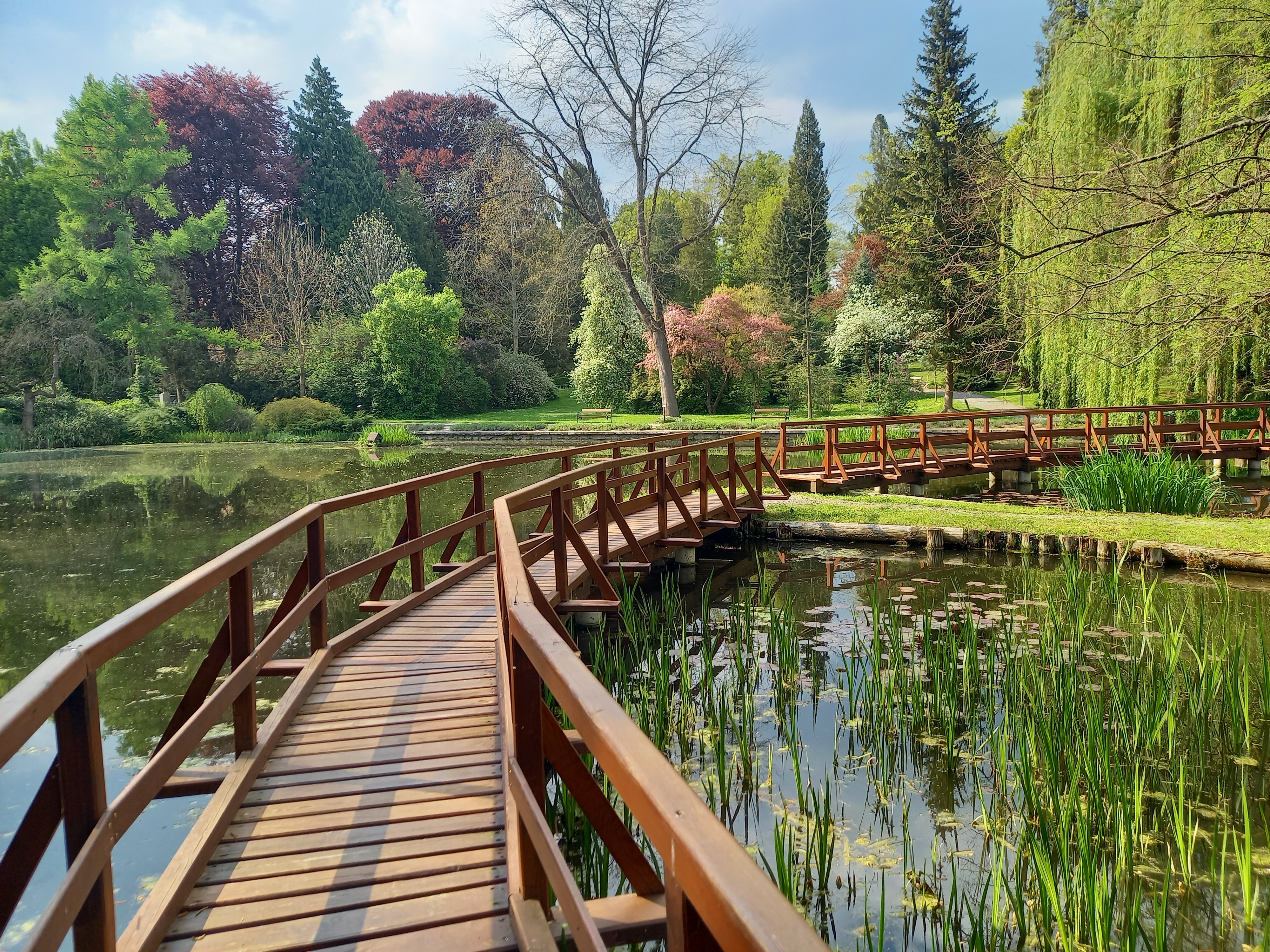 Arboretum Bílá Lhota