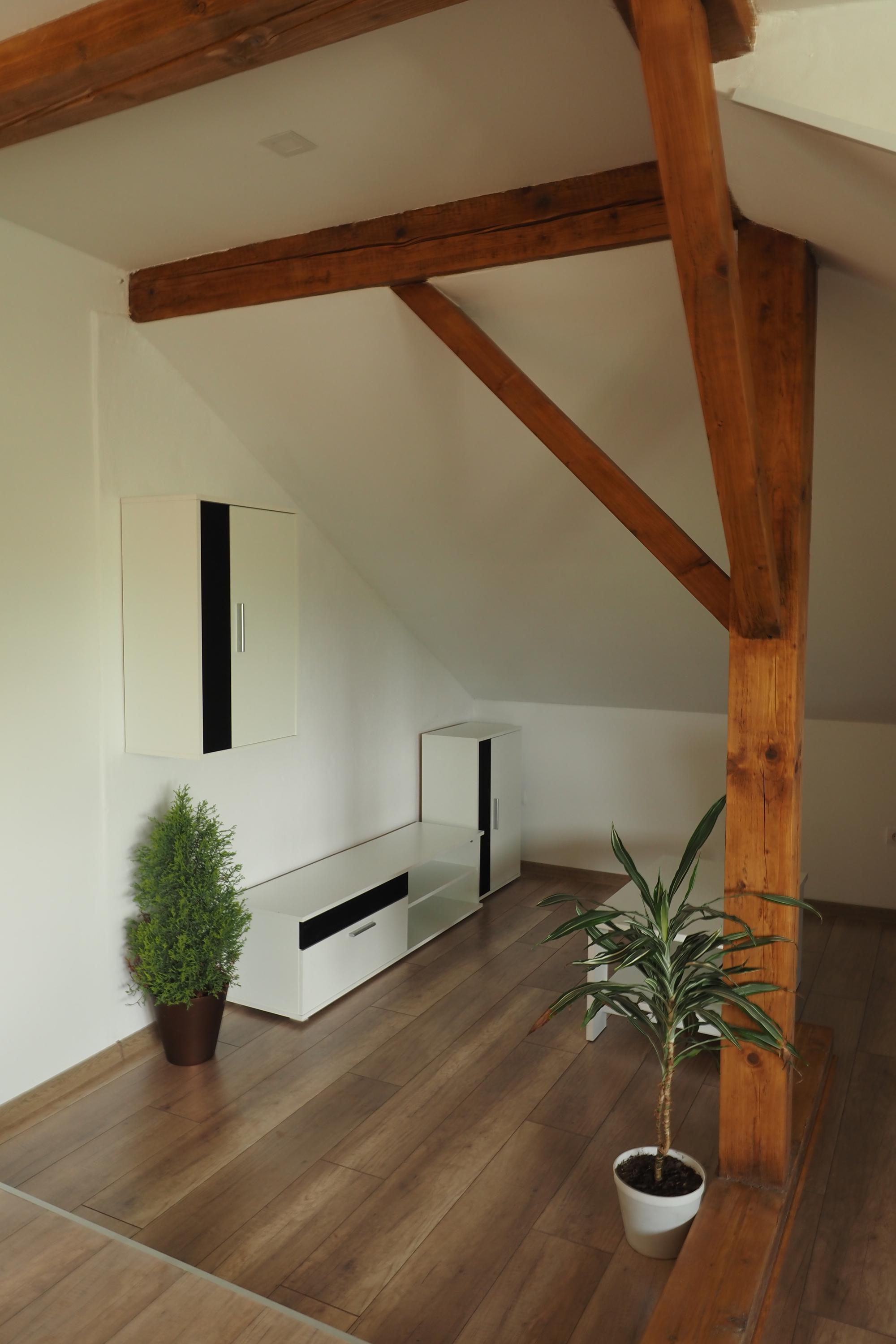 Apartmán u Borovice foto 6