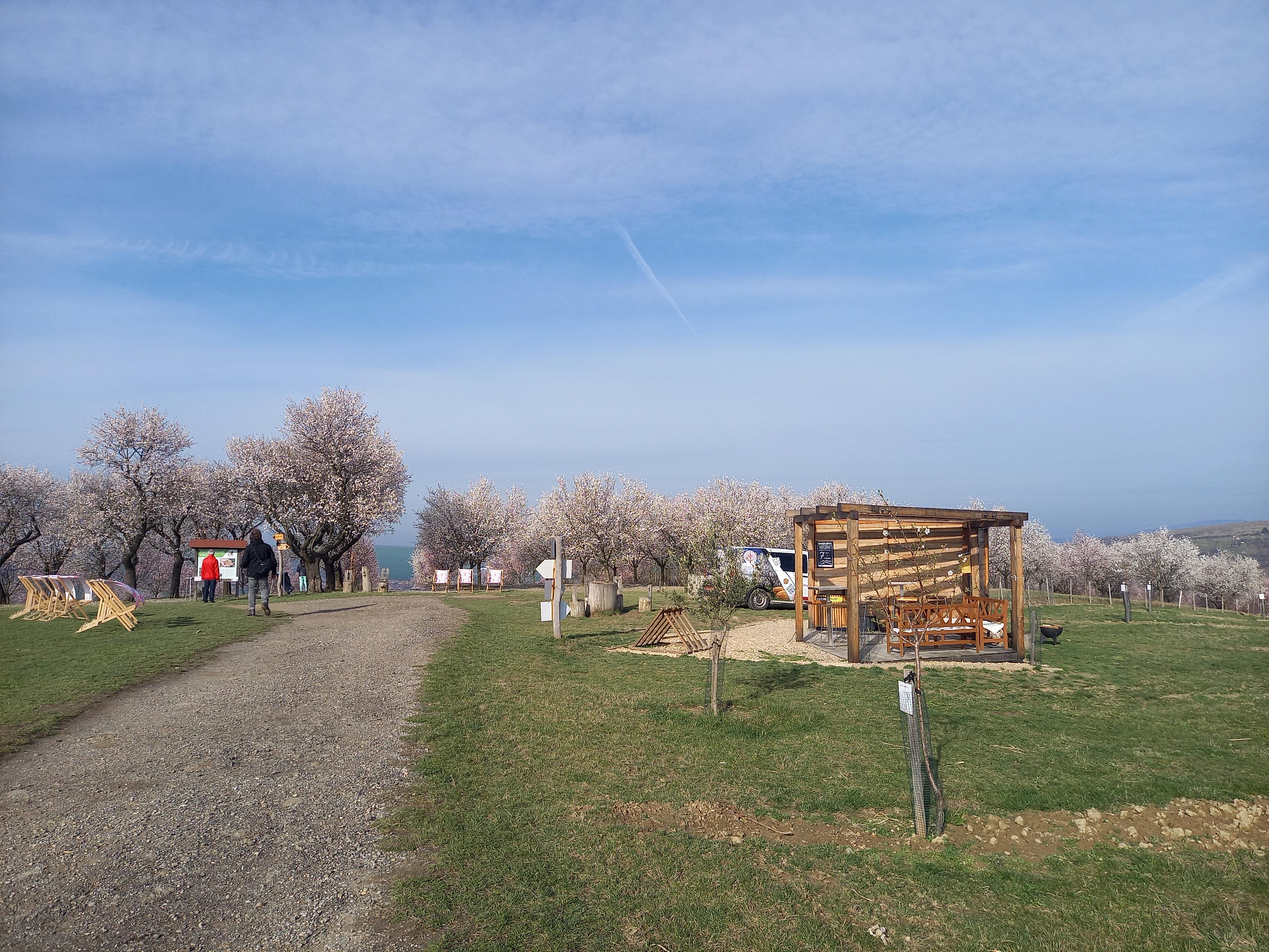 Mandlárna - stánek v sadu foto 5