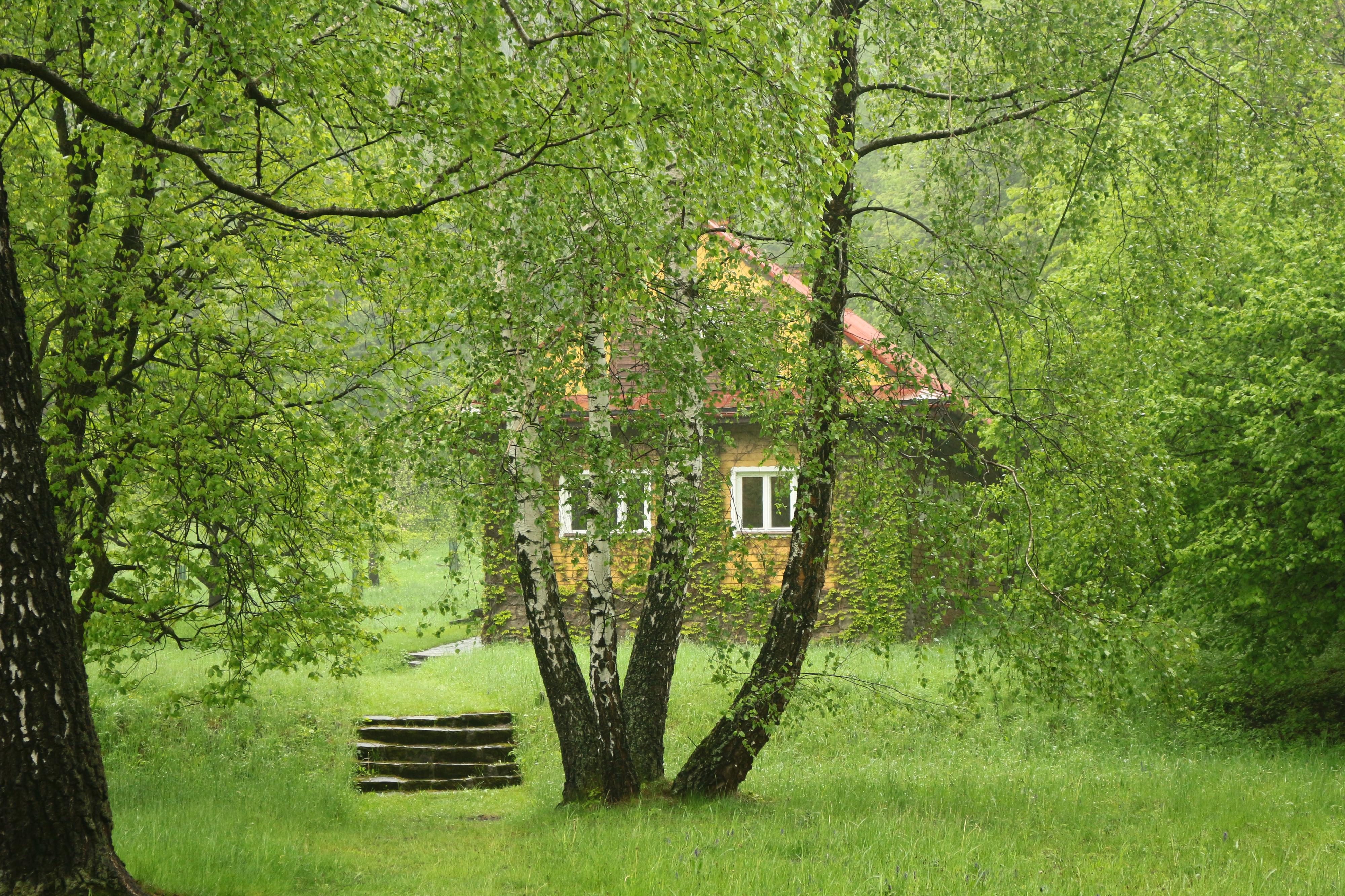 Srub Petra Bezruče foto 4