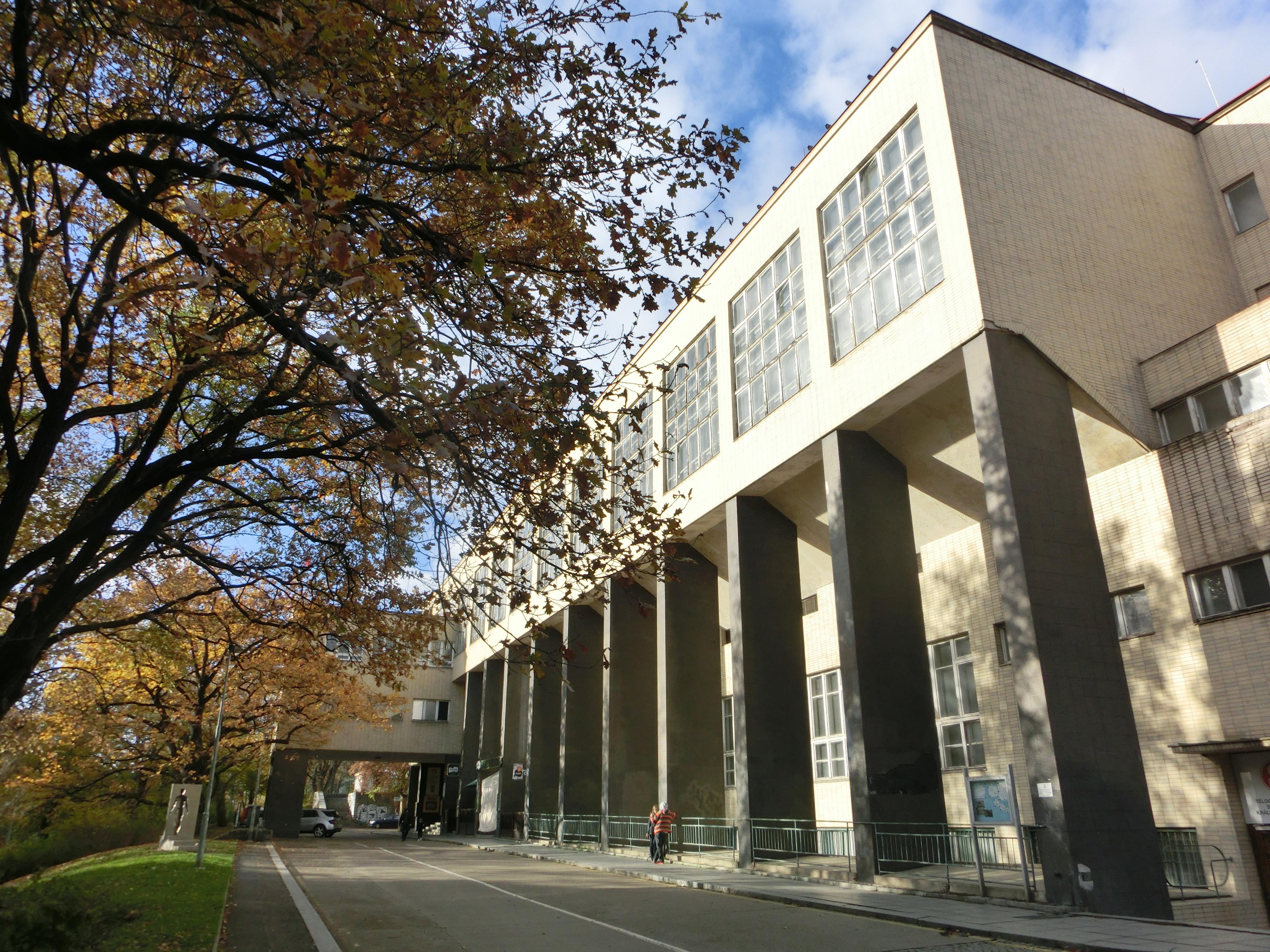 Sokolovna Vinohrady foto 4