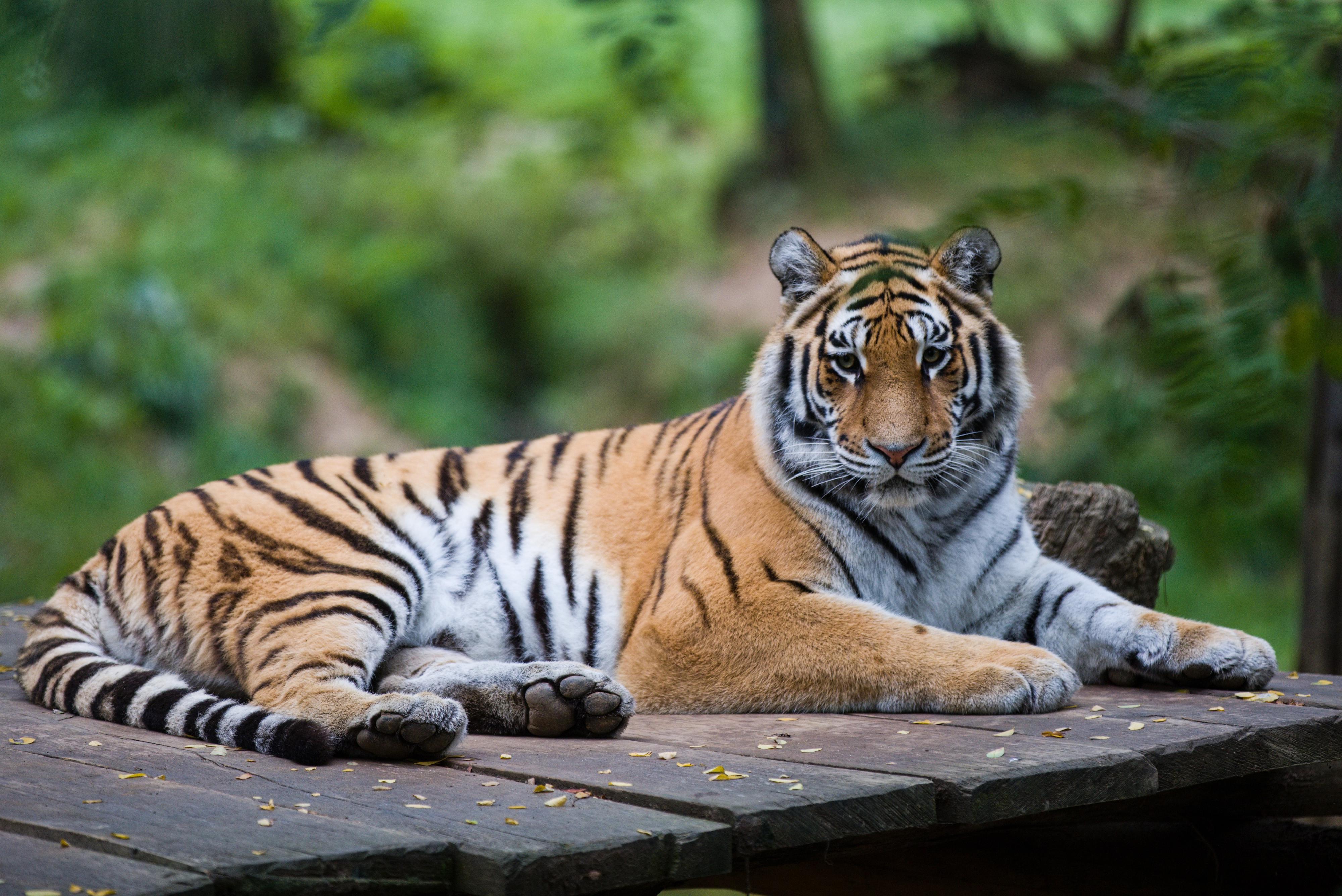 Zoo a zámek Zlín - Lešná foto 4