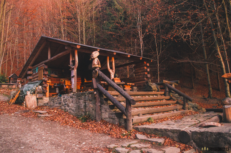 Lesní bar Lipová-lázně foto 4