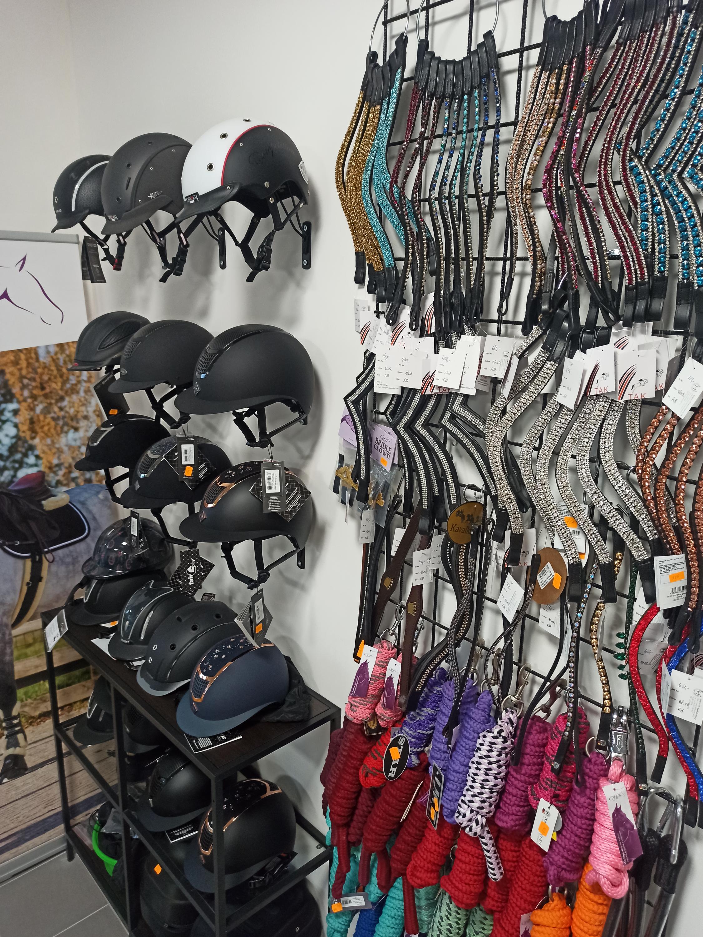 Cleverhorse.cz foto 6