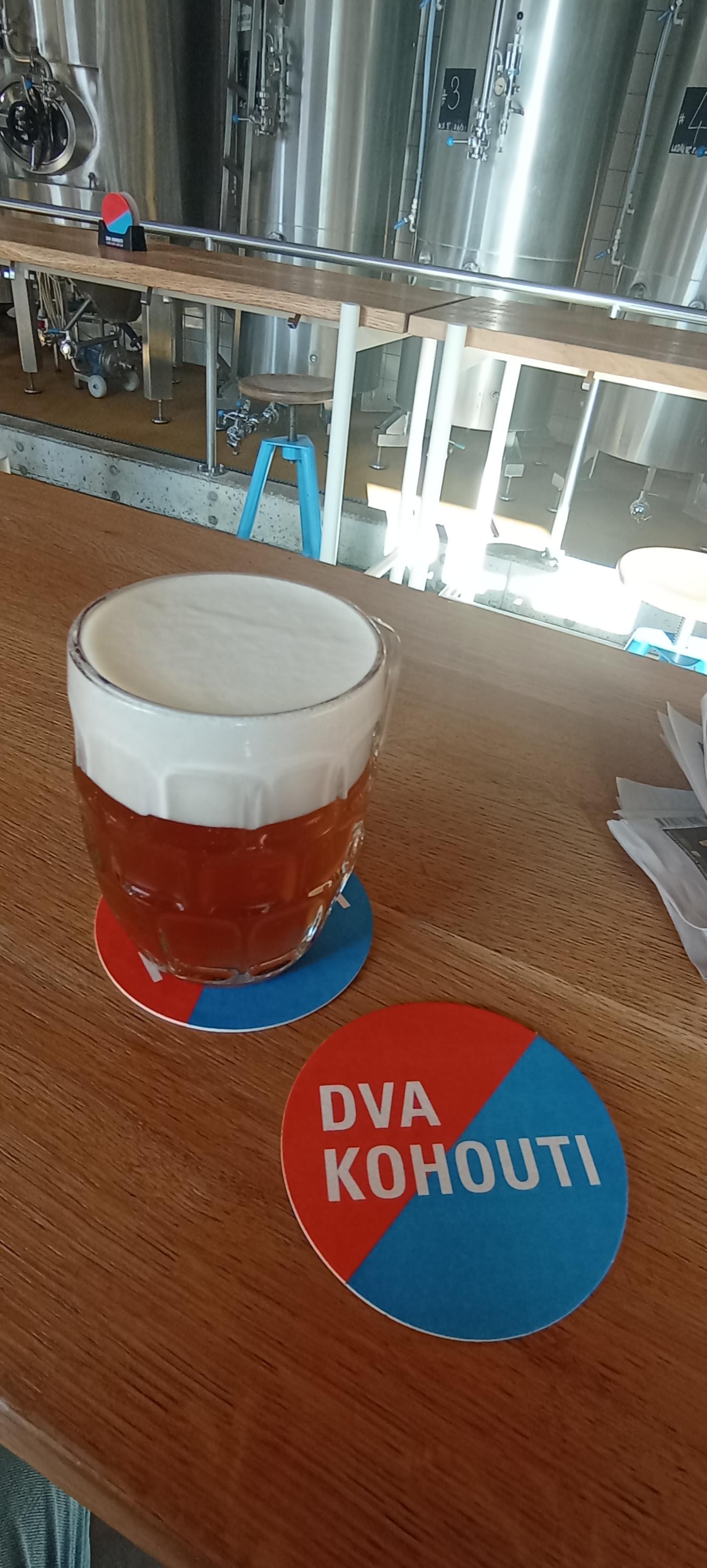 Pivovar Dva kohouti foto 2