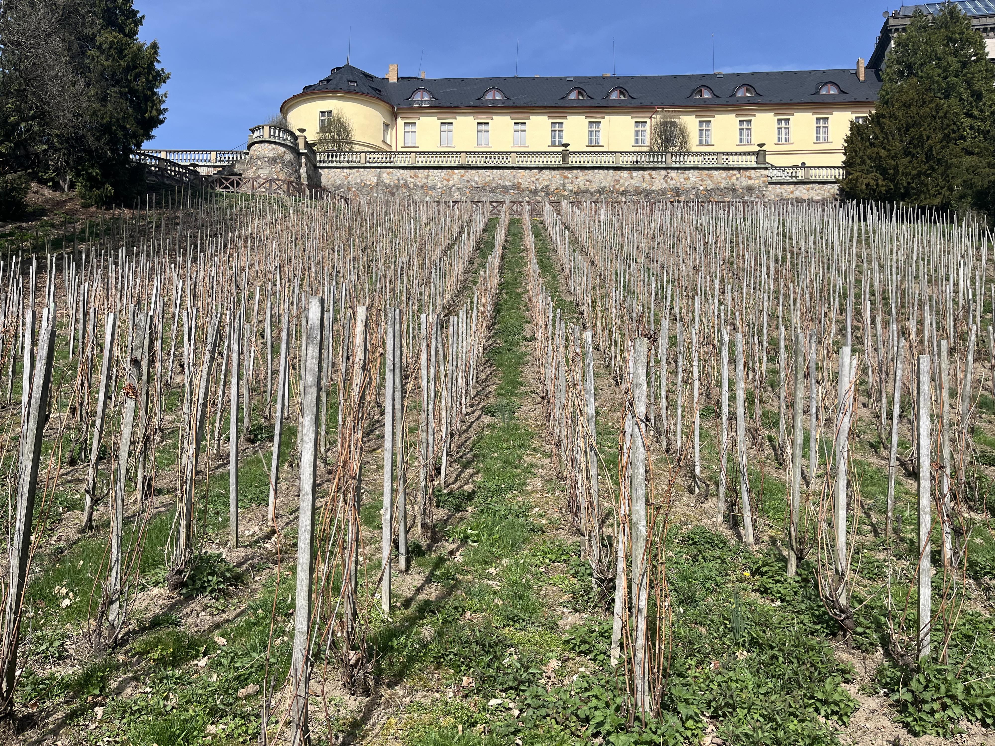 Zámek Zbiroh foto 6