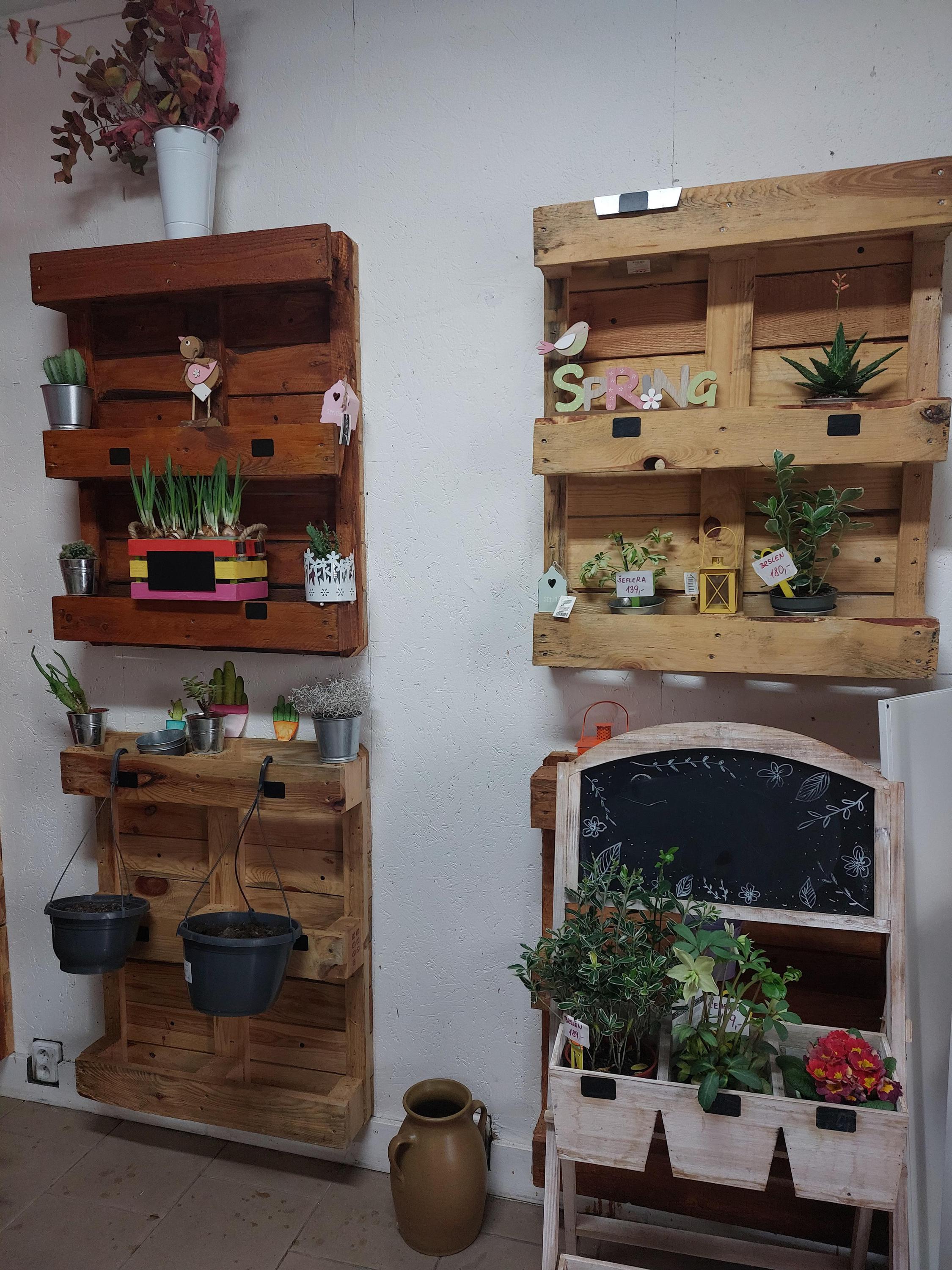 Květinové aféry foto 2