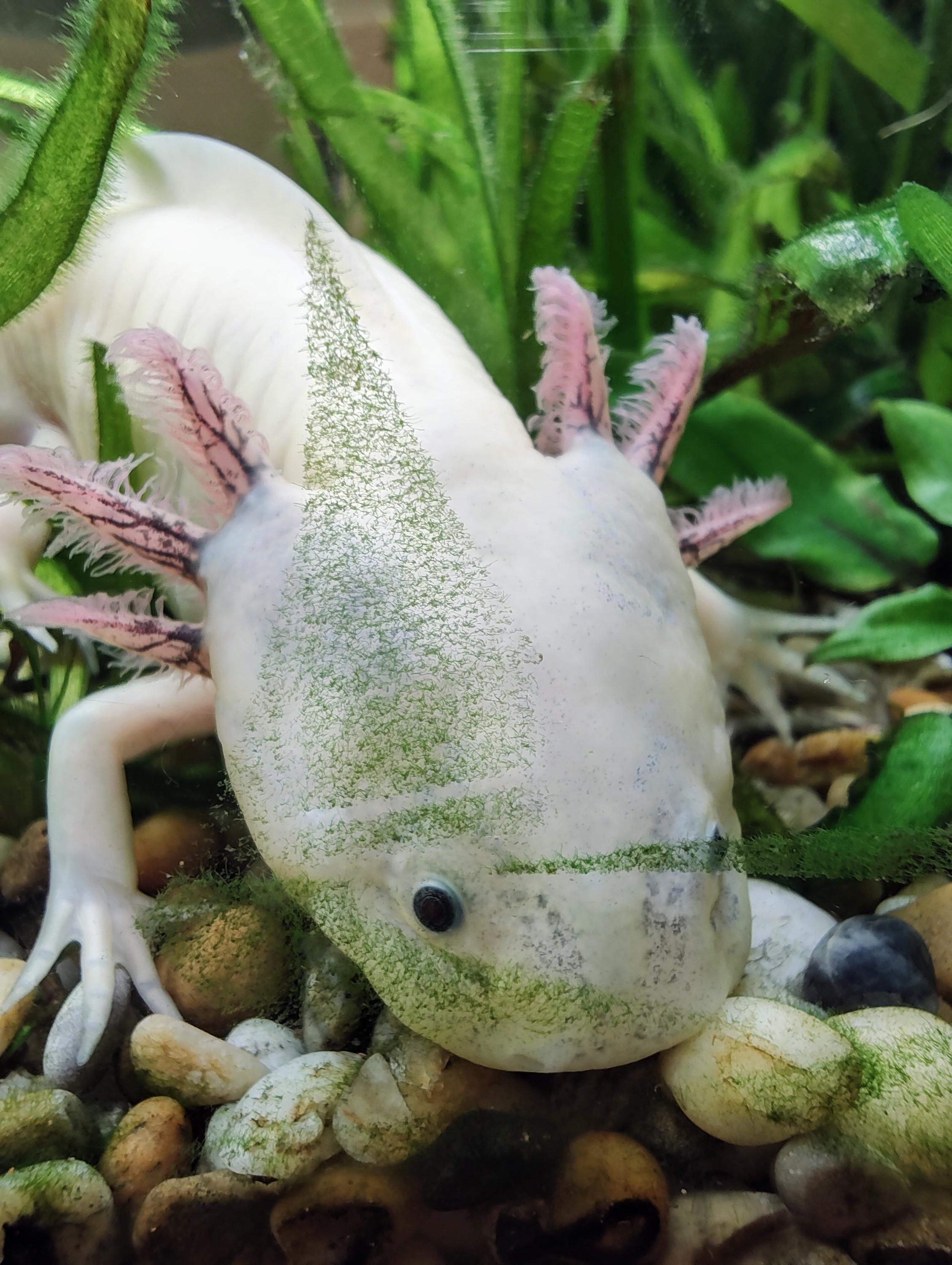 Jihomoravské muzeum ve Znojmě foto 6