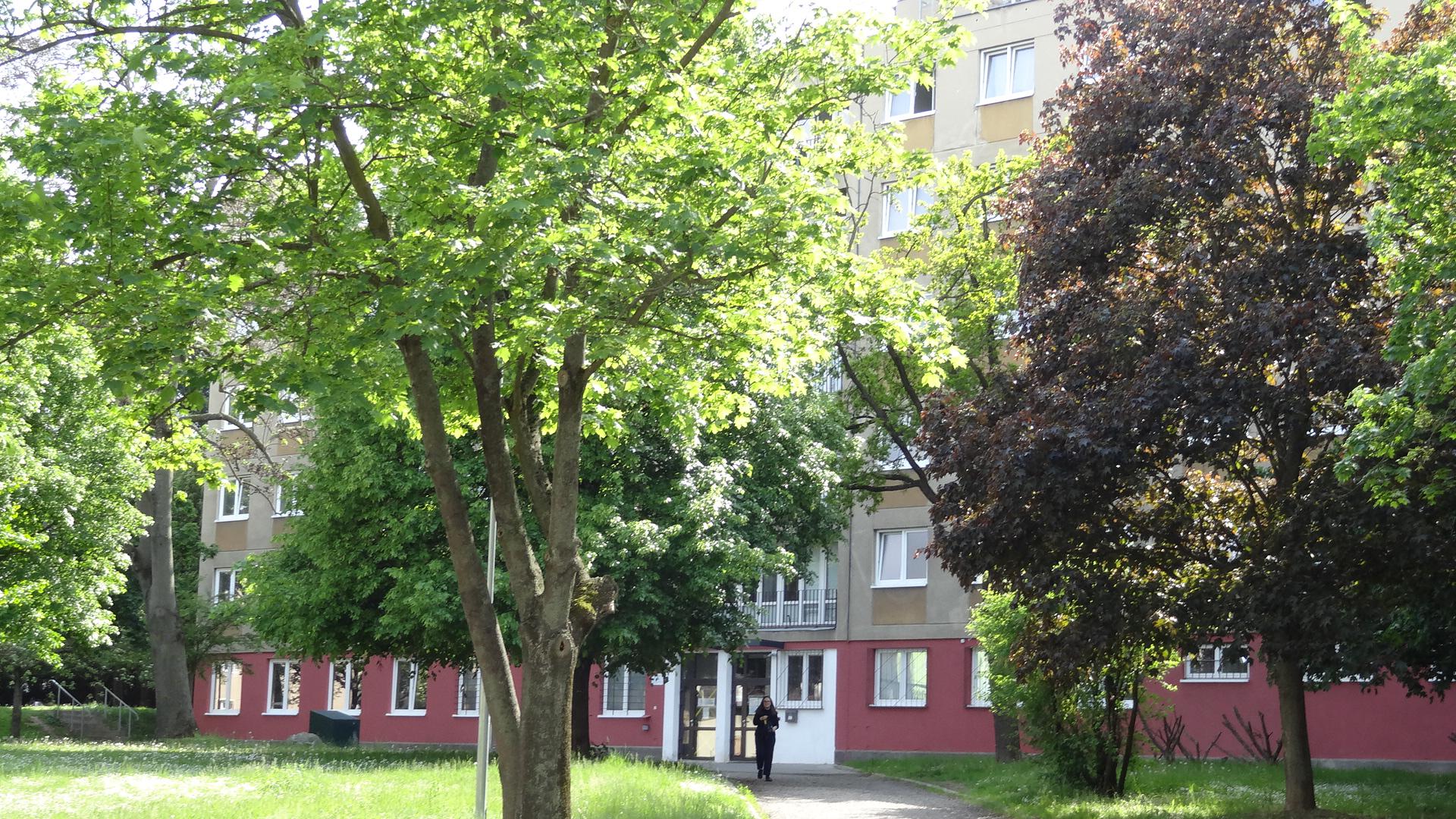 Koleje Mánesova - Masarykova univerzita foto 6