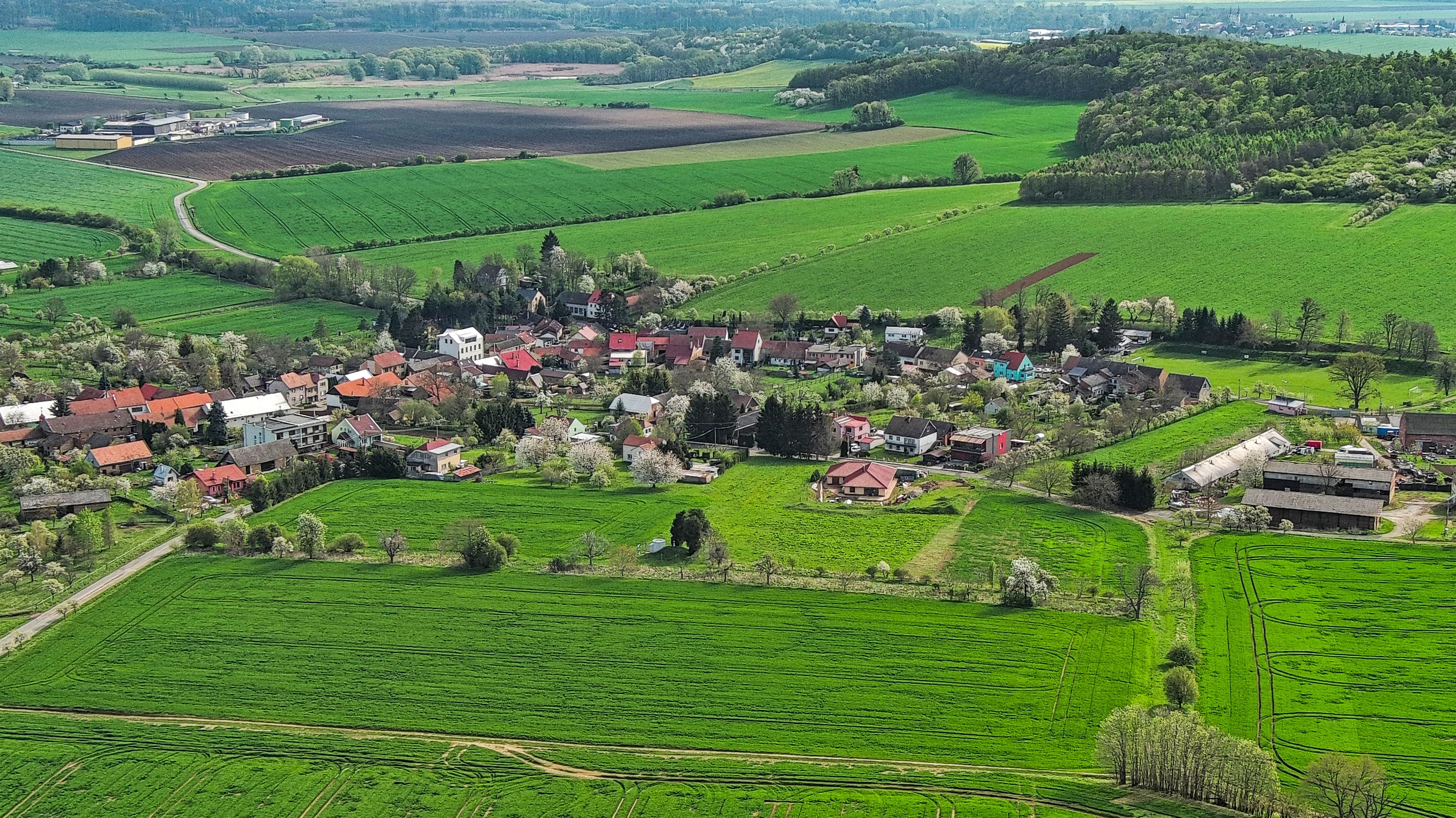 Bařice - Velké Těšany - obecní úřad foto 3