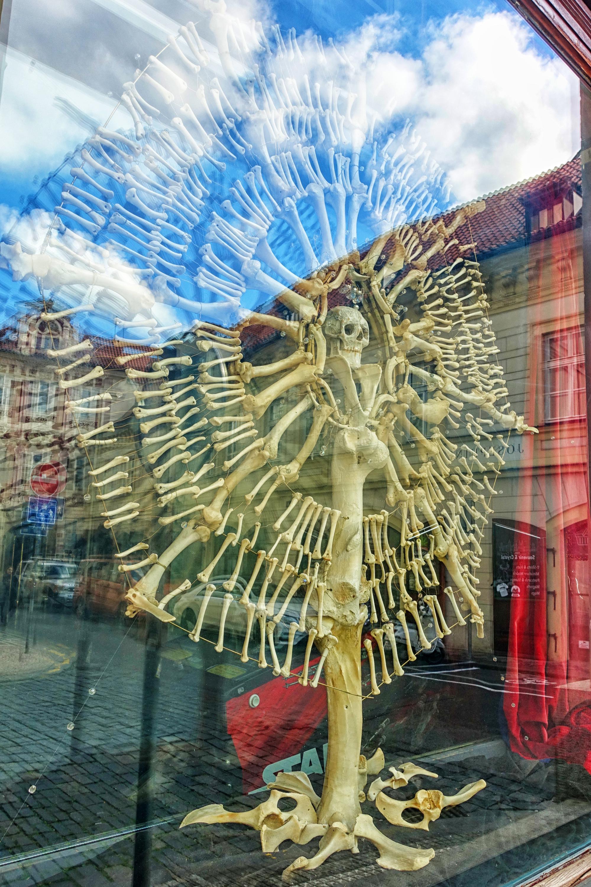 Chapeau Rouge foto 2