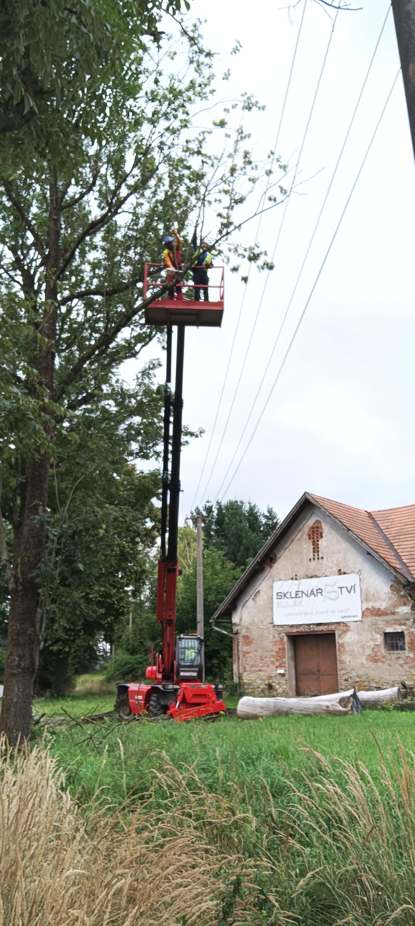 Péče o stromy Lukáš Němec foto 5