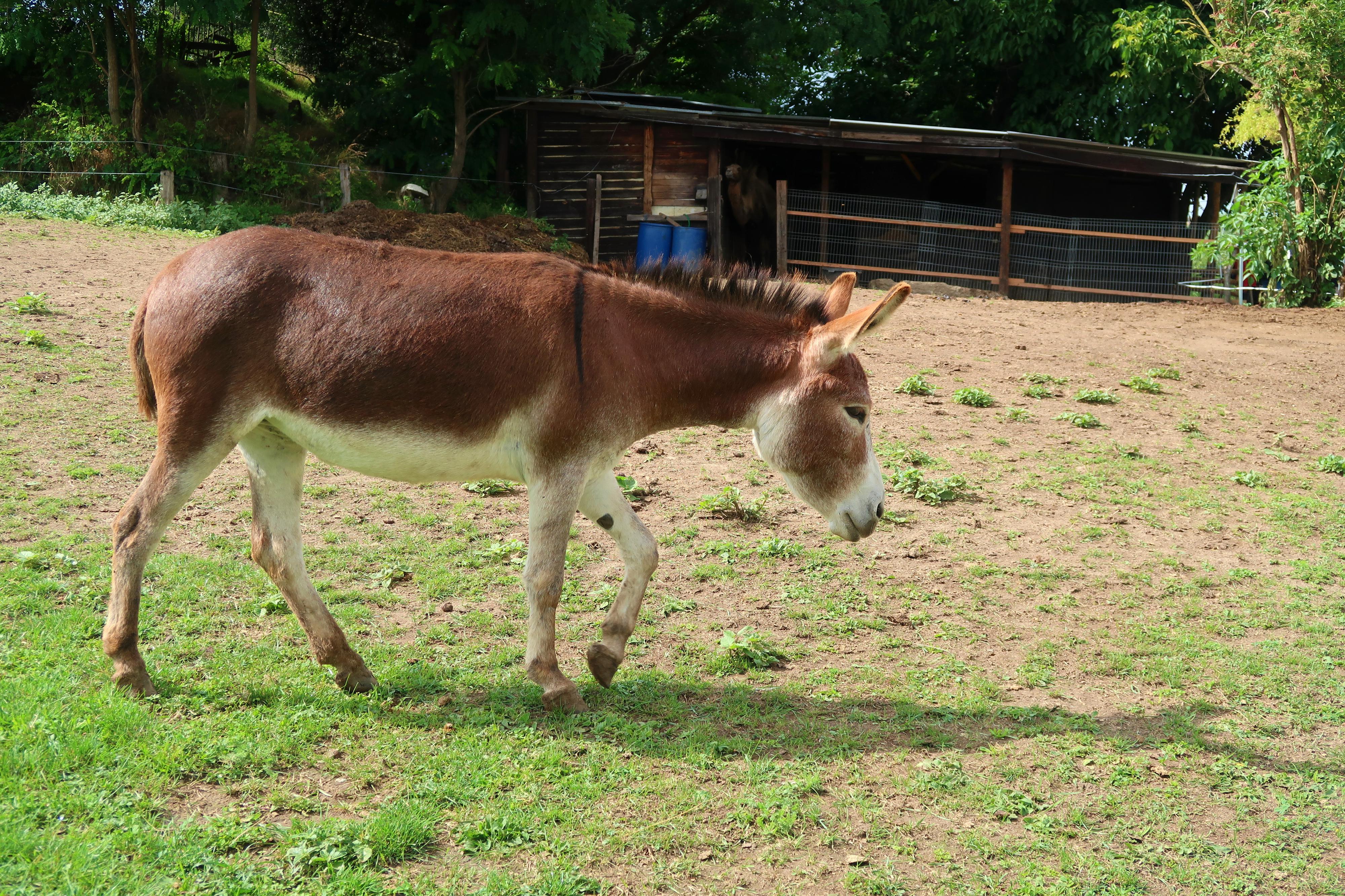 Zoopark Olovnice foto 6