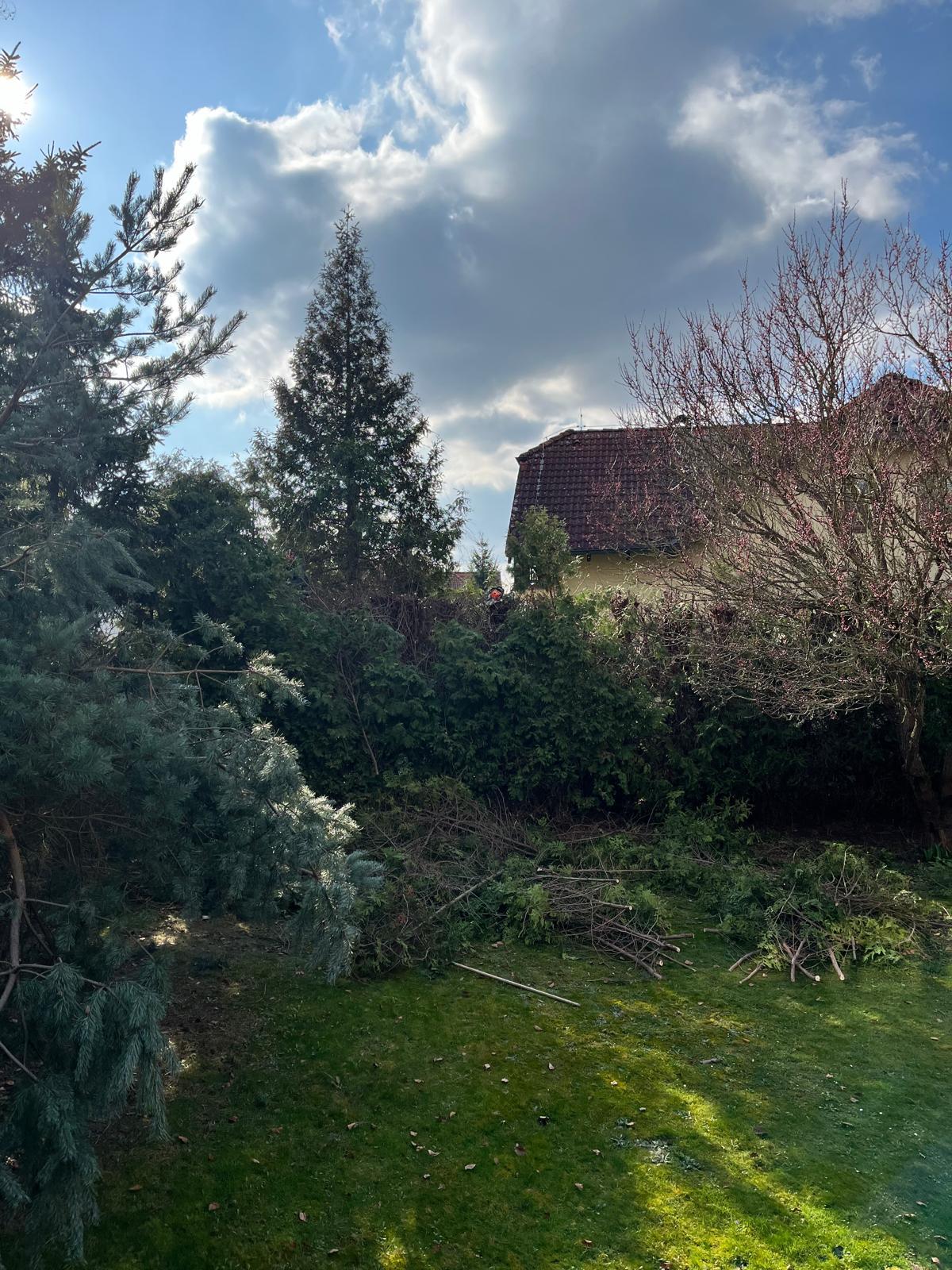 Údržba zeleně Růžička, s.r.o. foto 5