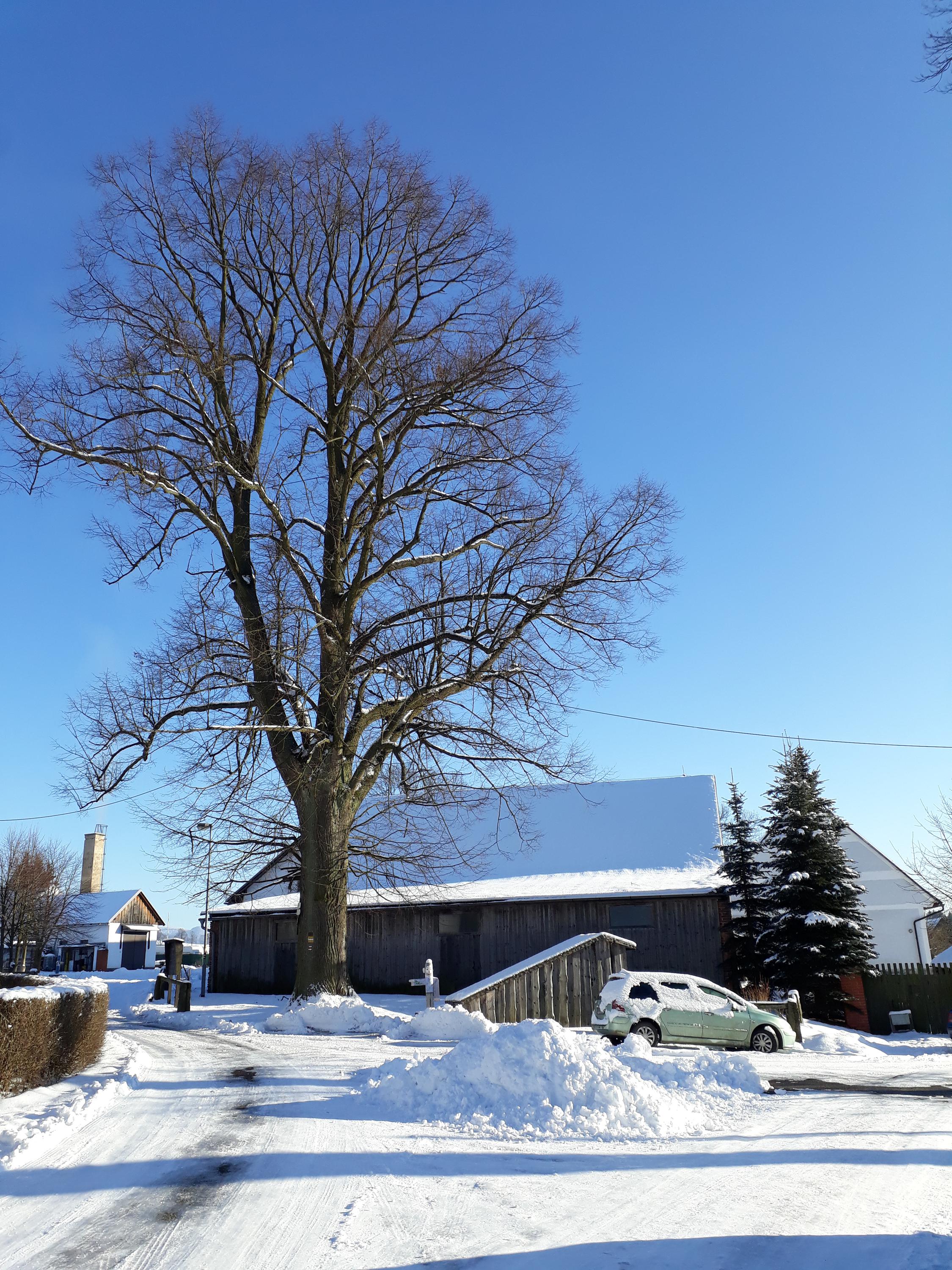 Statek Tilia, s.r.o. foto 4