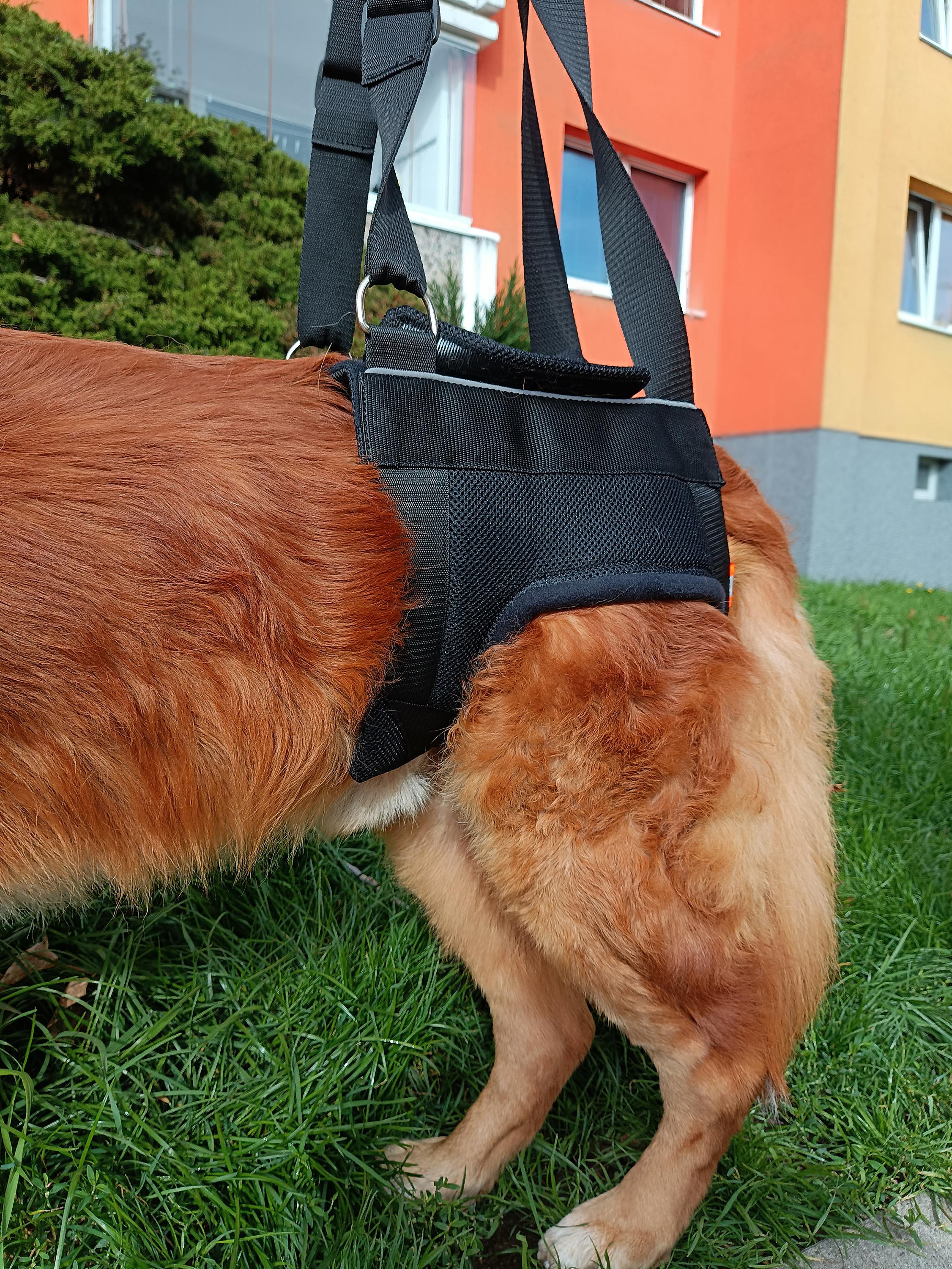 MONTY invalidní vozíky foto 3