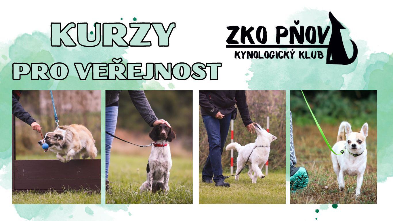 Kynologický klub Pňov foto 6