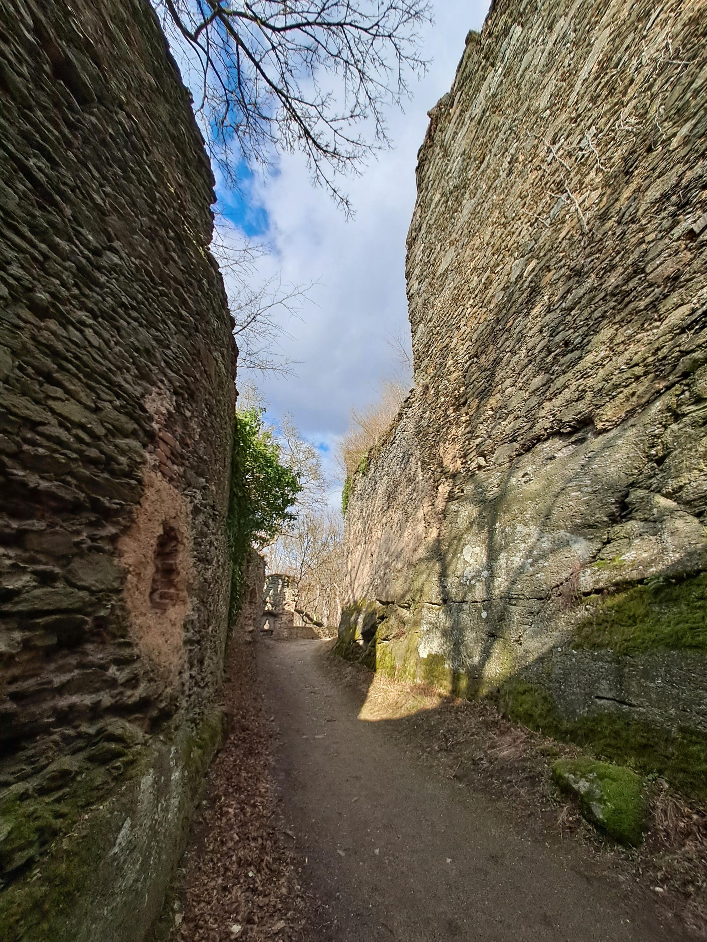 Zřícenina hradu Nový Hrádek u Lukova foto 5
