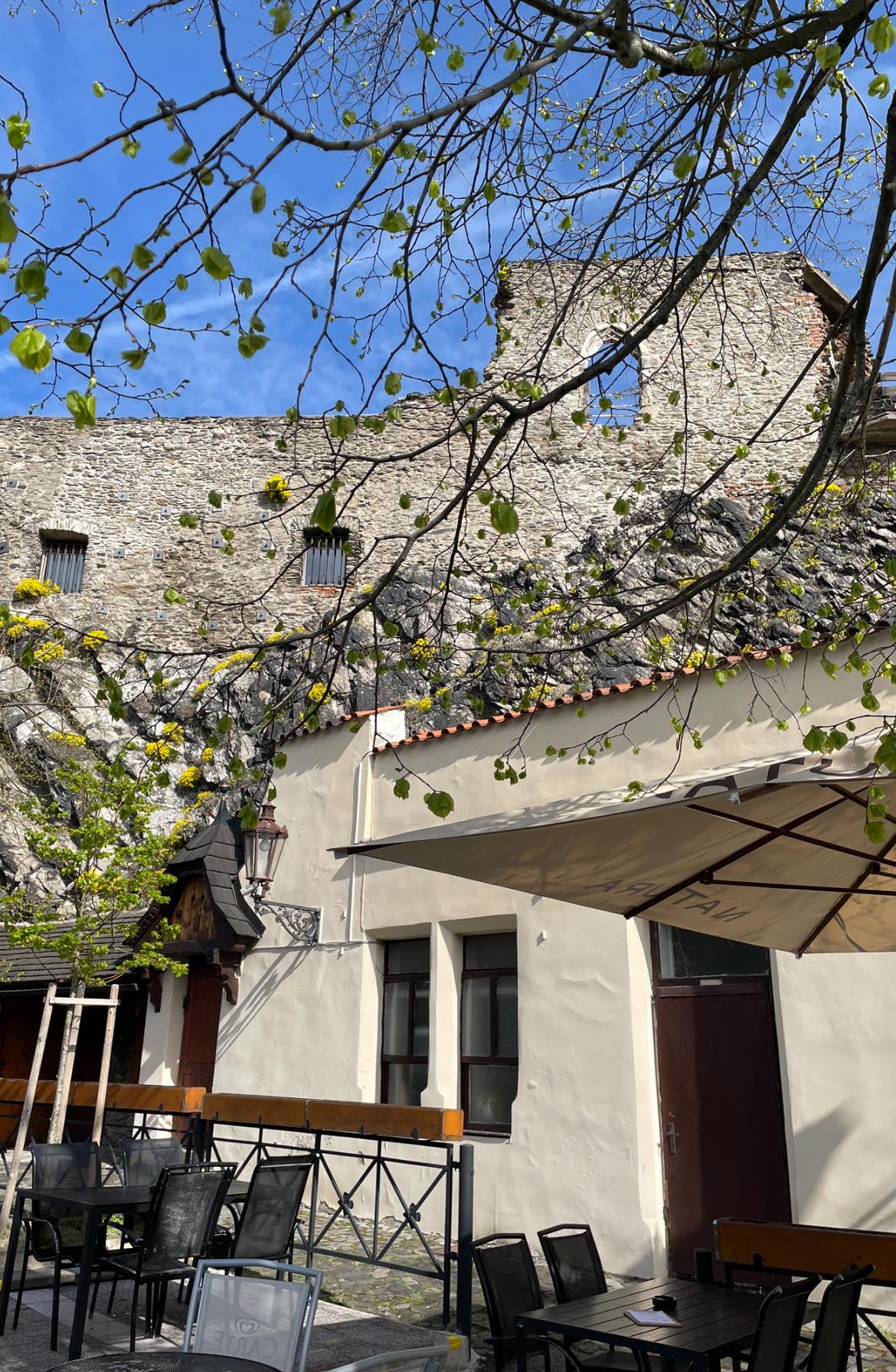 Restaurace Wágnerka Hrad Střekov foto 3