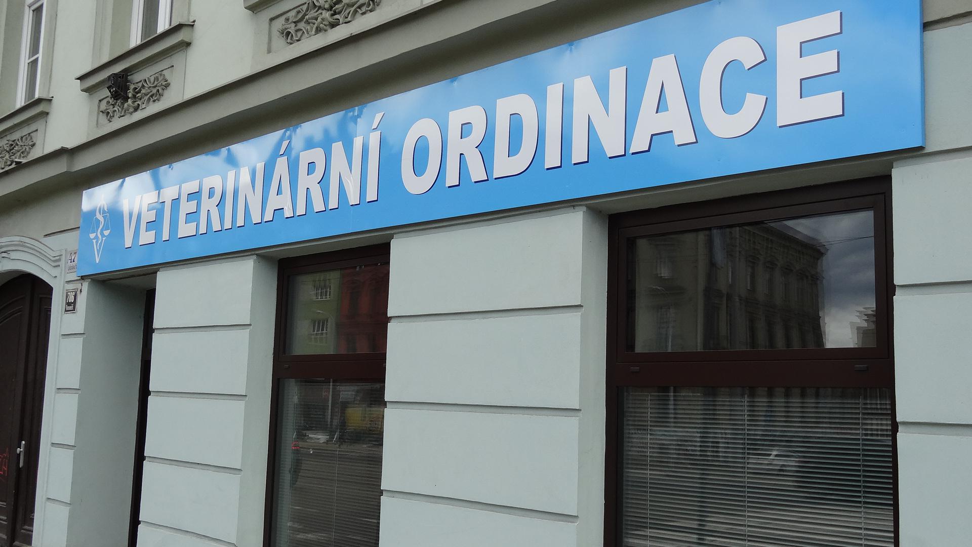 Veterinární ordinace kubeVET foto 5