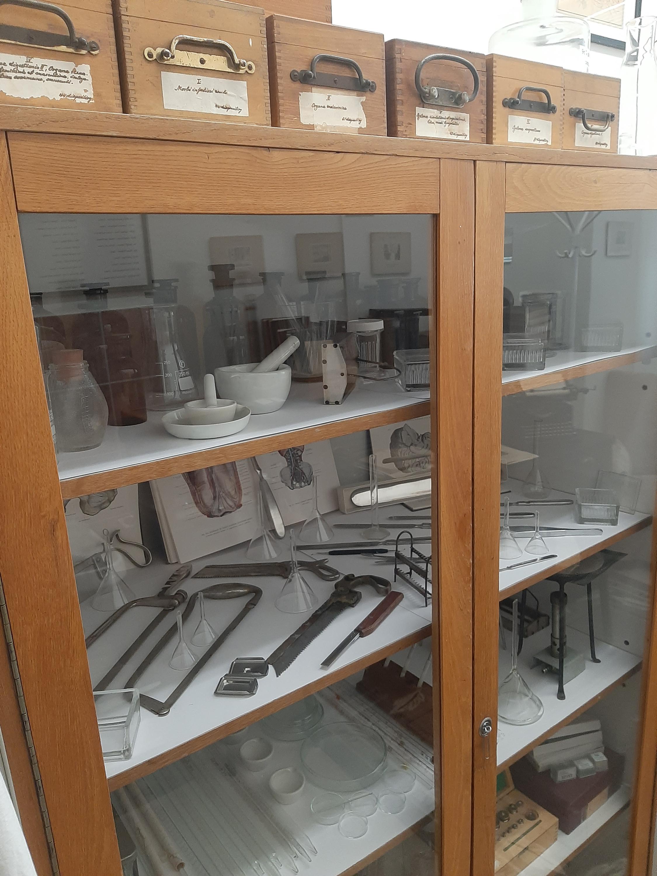 Muzeum patologie - Moravskoslezská nemocnice Opava foto 6
