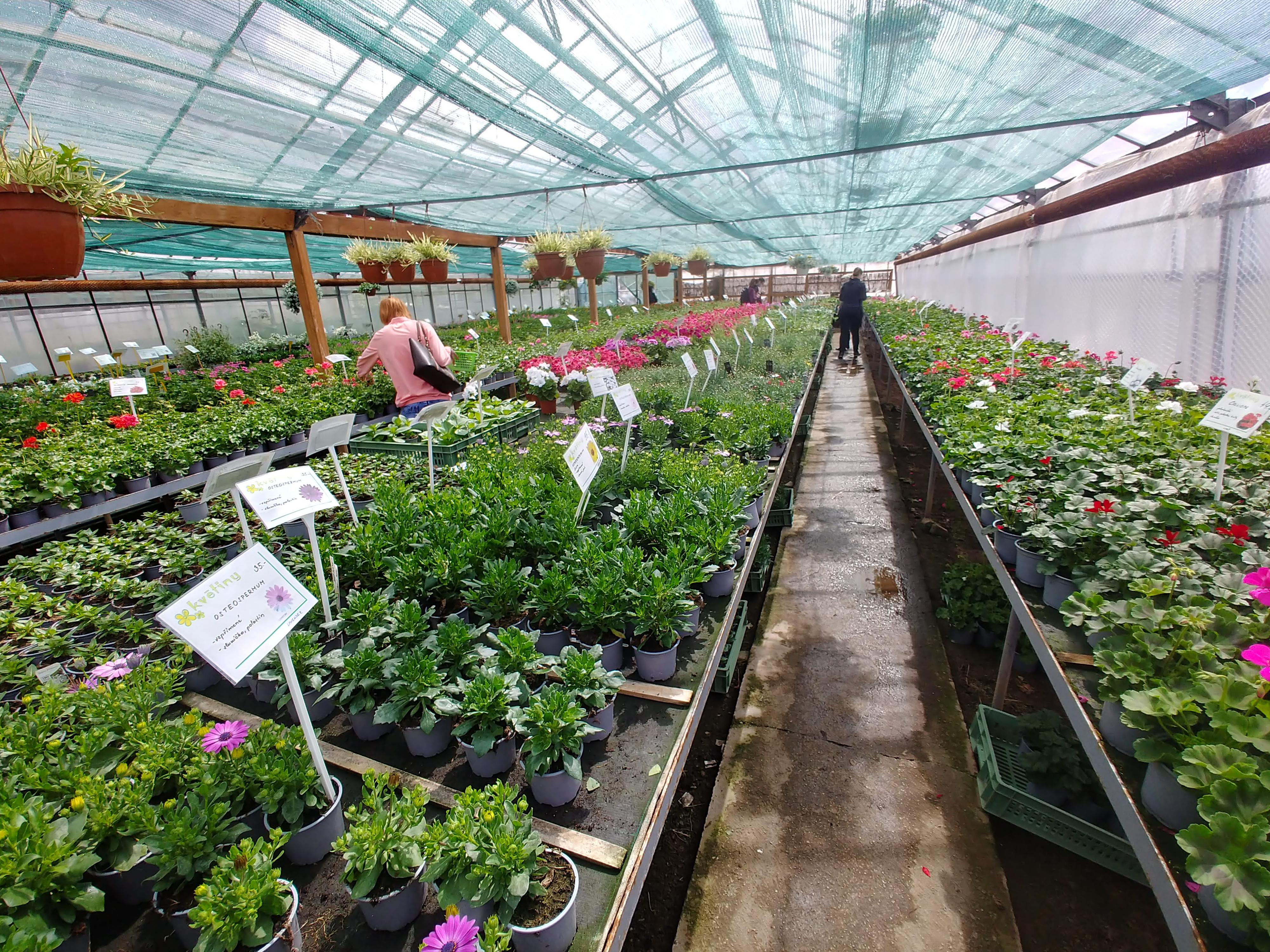 Zahradnictví Ing. Roman Koupý foto 2