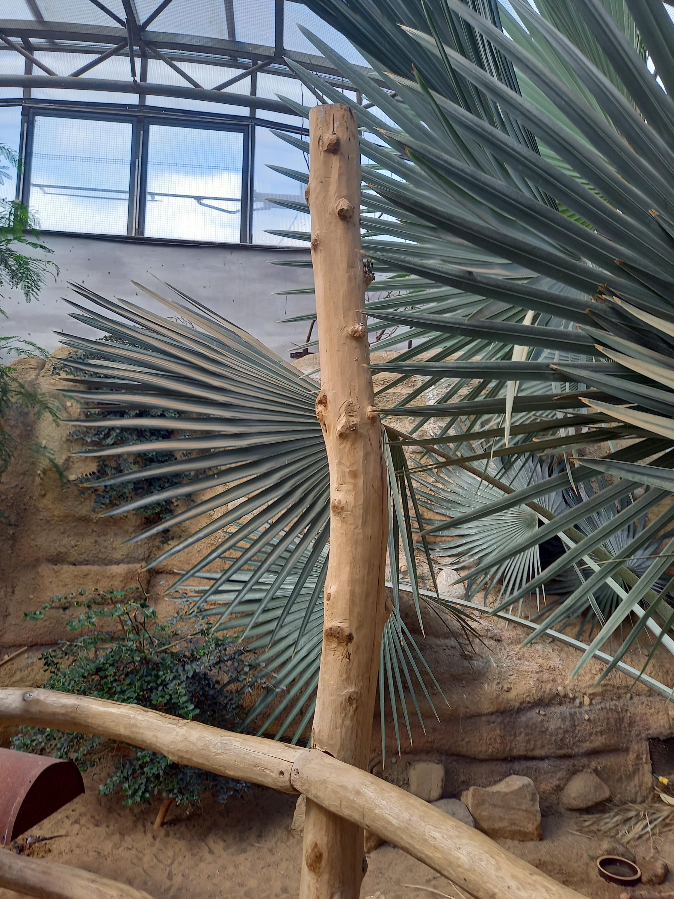 Safari Park Dvůr Králové foto 2
