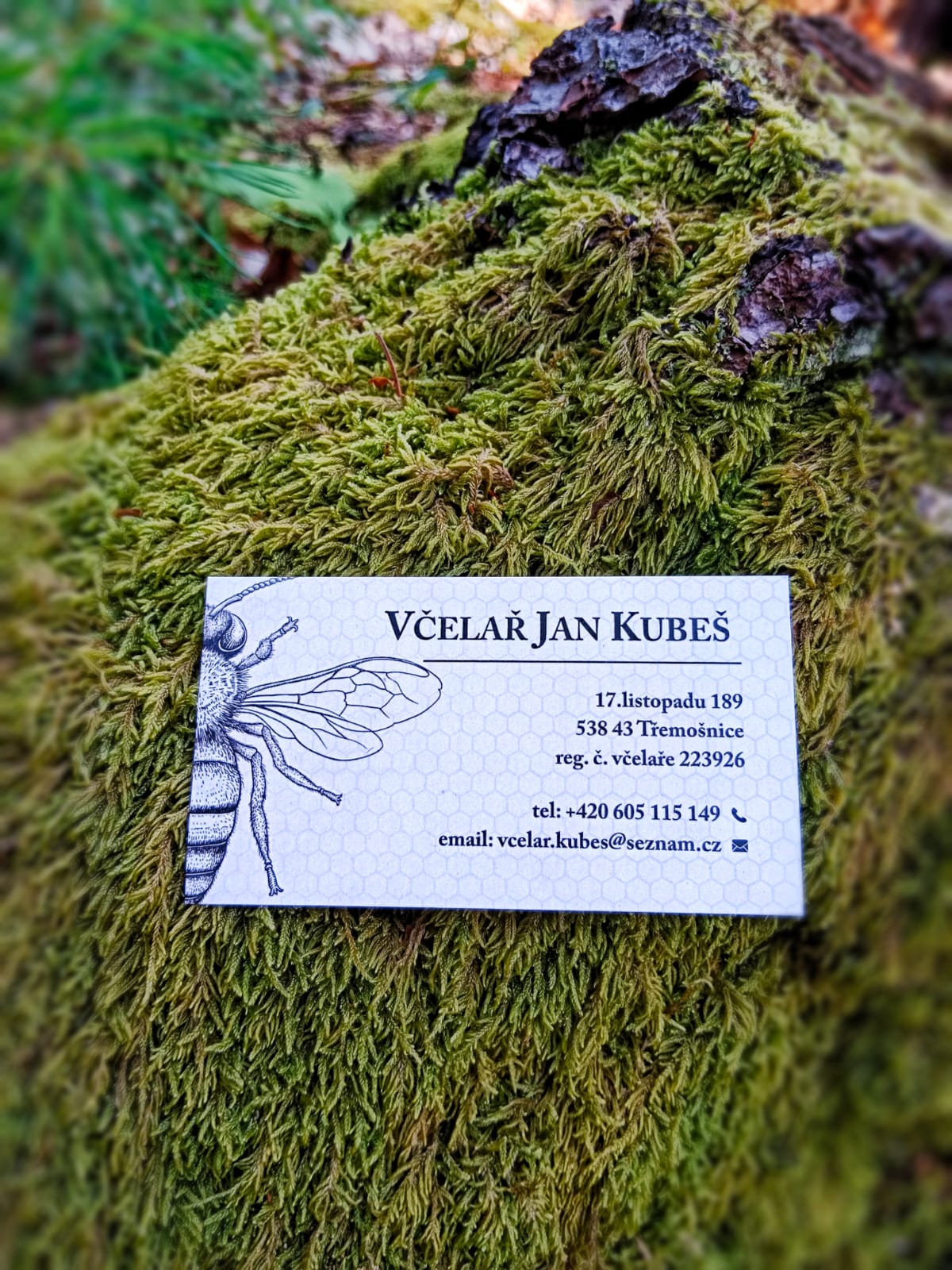 Včelařství Kubeš foto 4