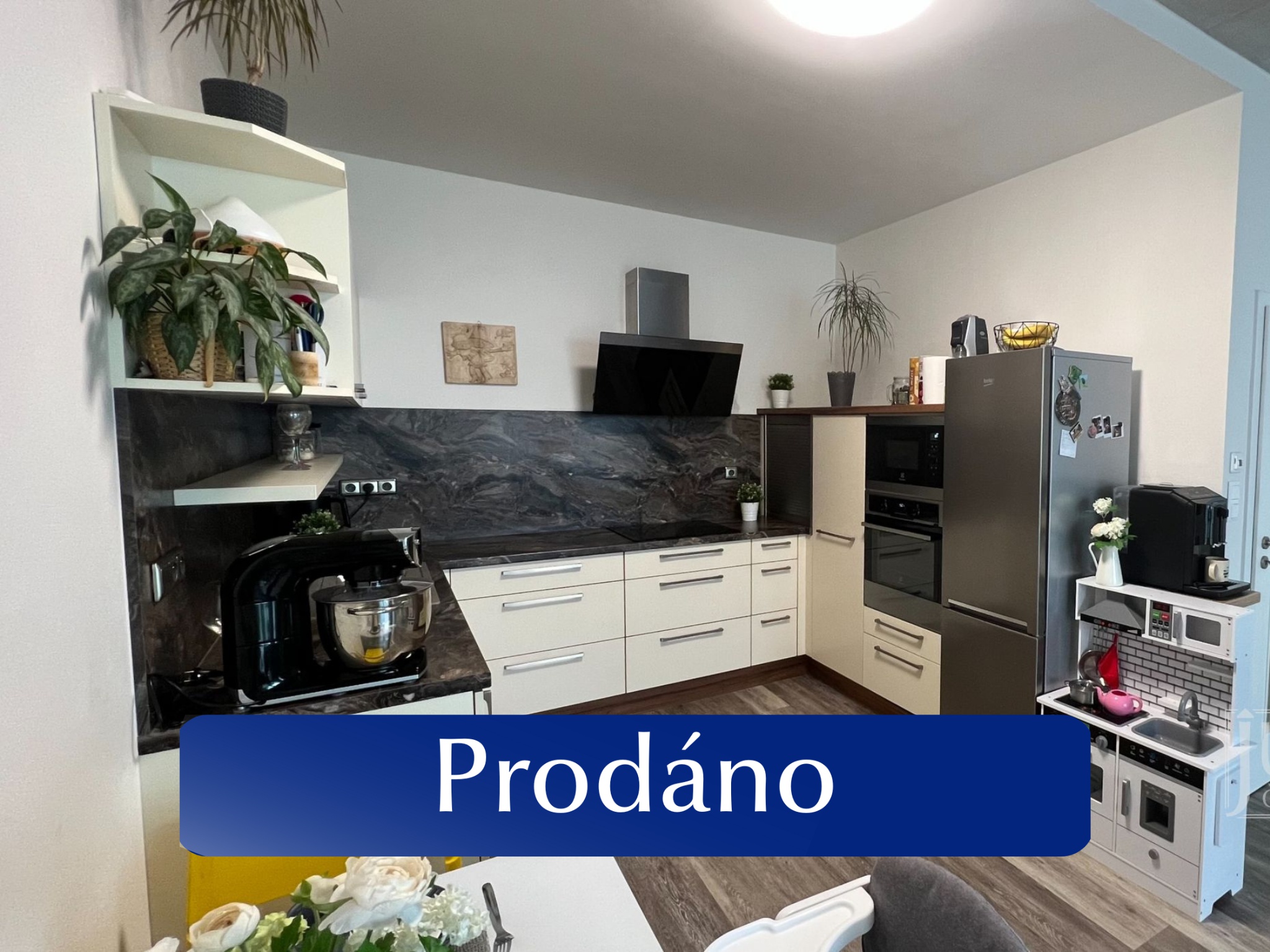 EFI REAL, partner Justo foto 4