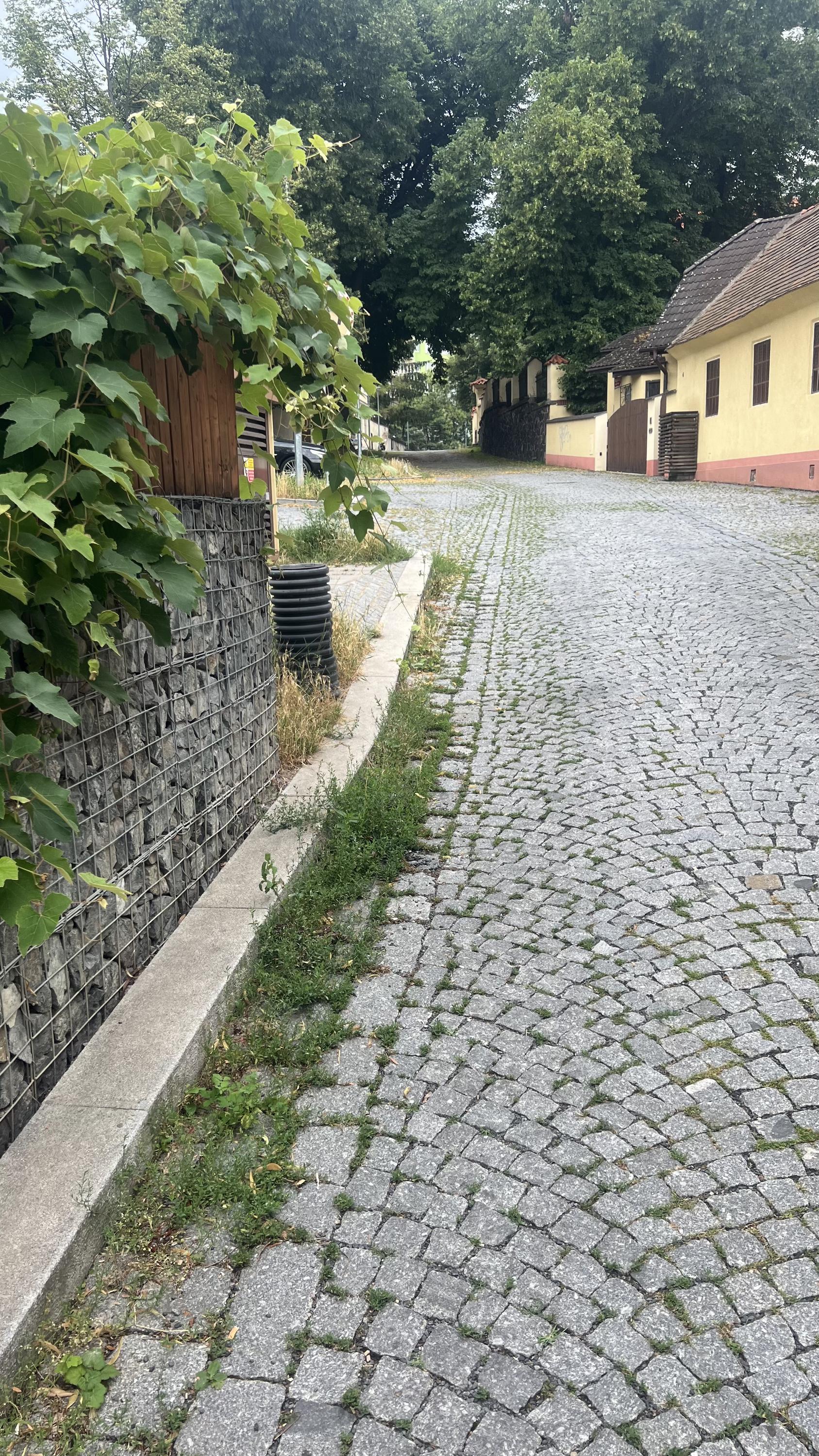 Gynekologie bABa CARE foto 5