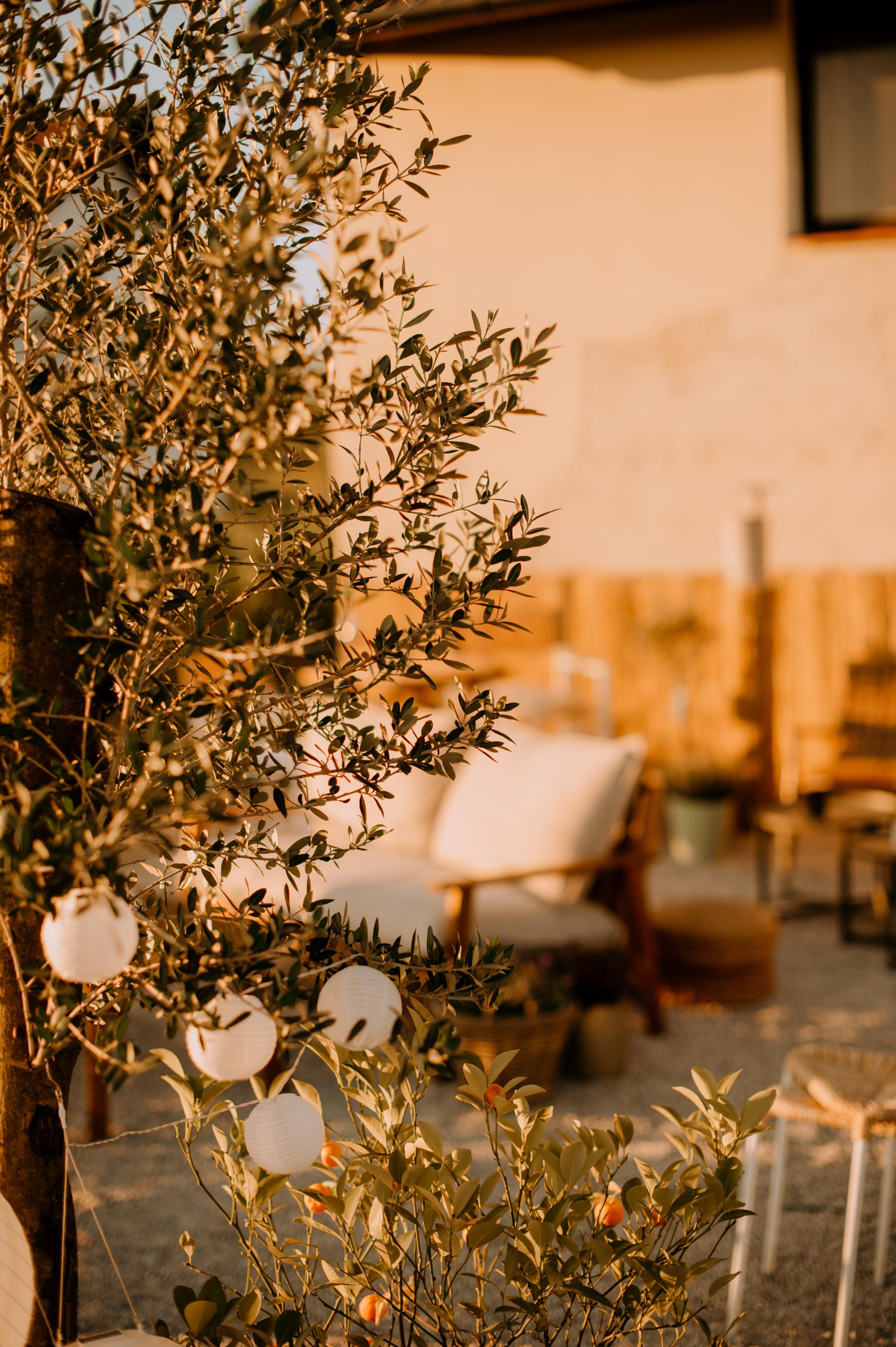 Andulka winery foto 3