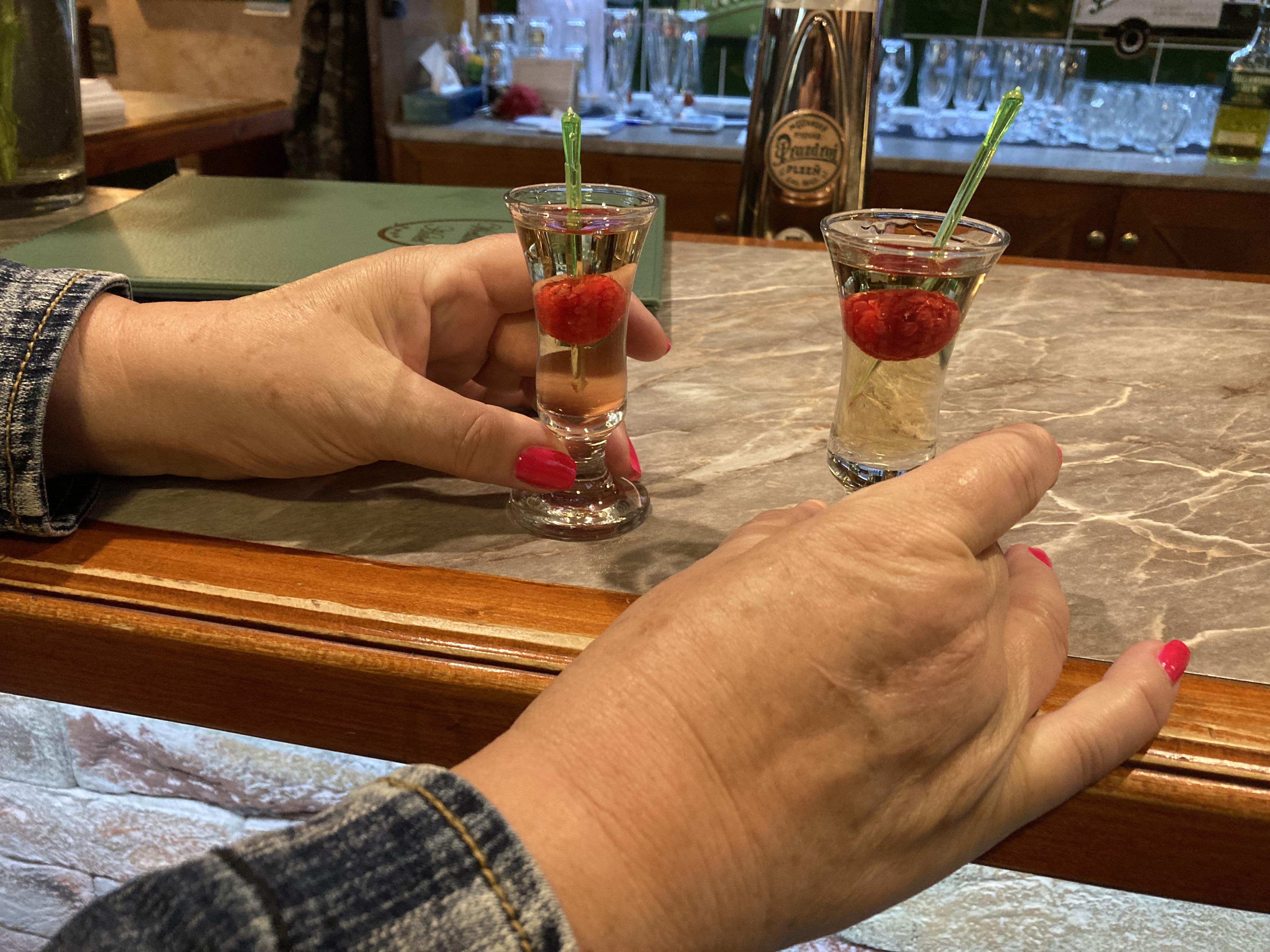 Restaurace Wellness Hotel Ida foto 6