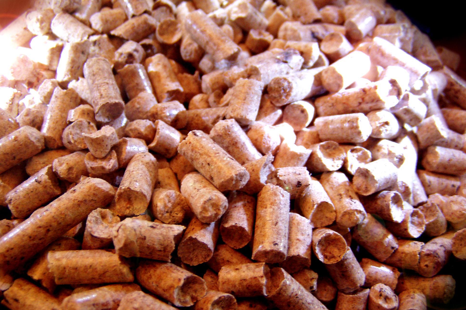 MADER lesnická firma, s.r.o.