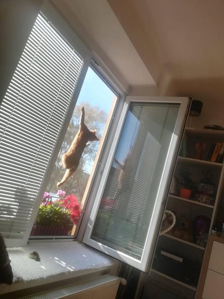 OKENNÍ sítě, žaluzie, servis DALIBOR ZÁMORSKÝ foto 2