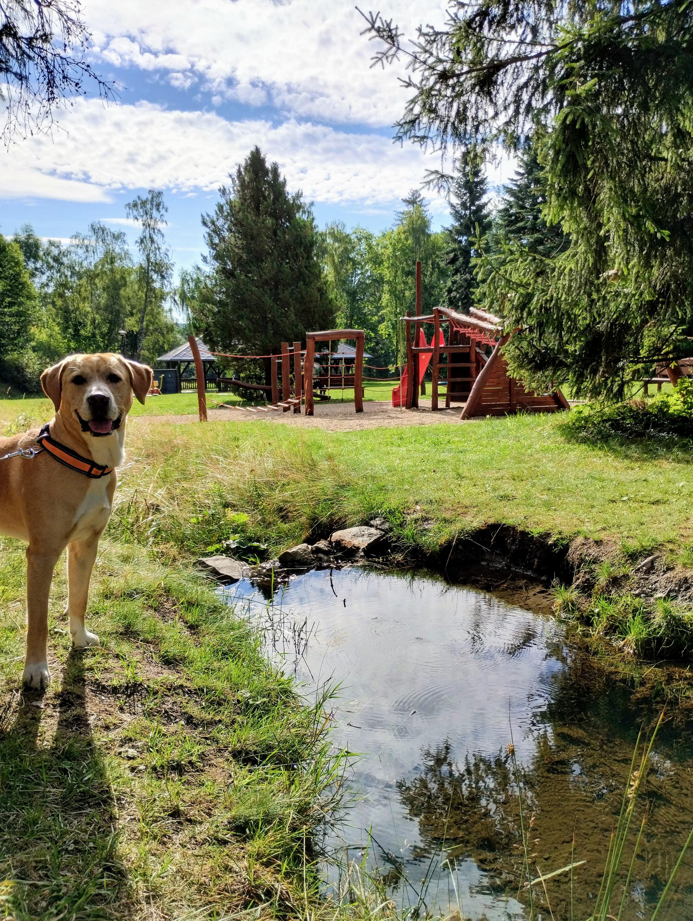Tábořiště Karlov foto 5