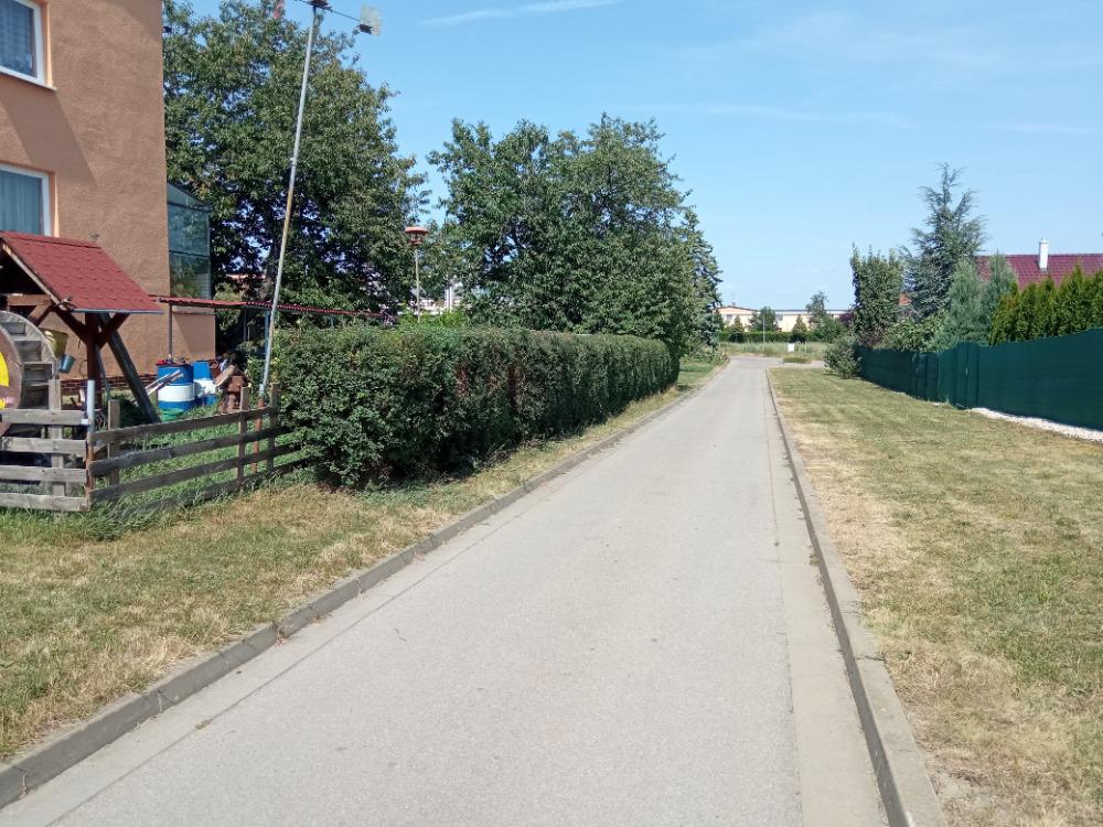 Michal Košulič foto 4