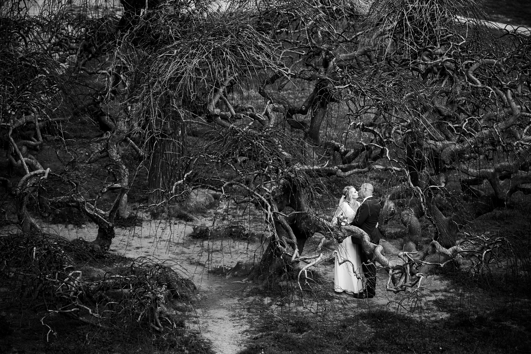 Pavel Vávra Fotograf foto 3