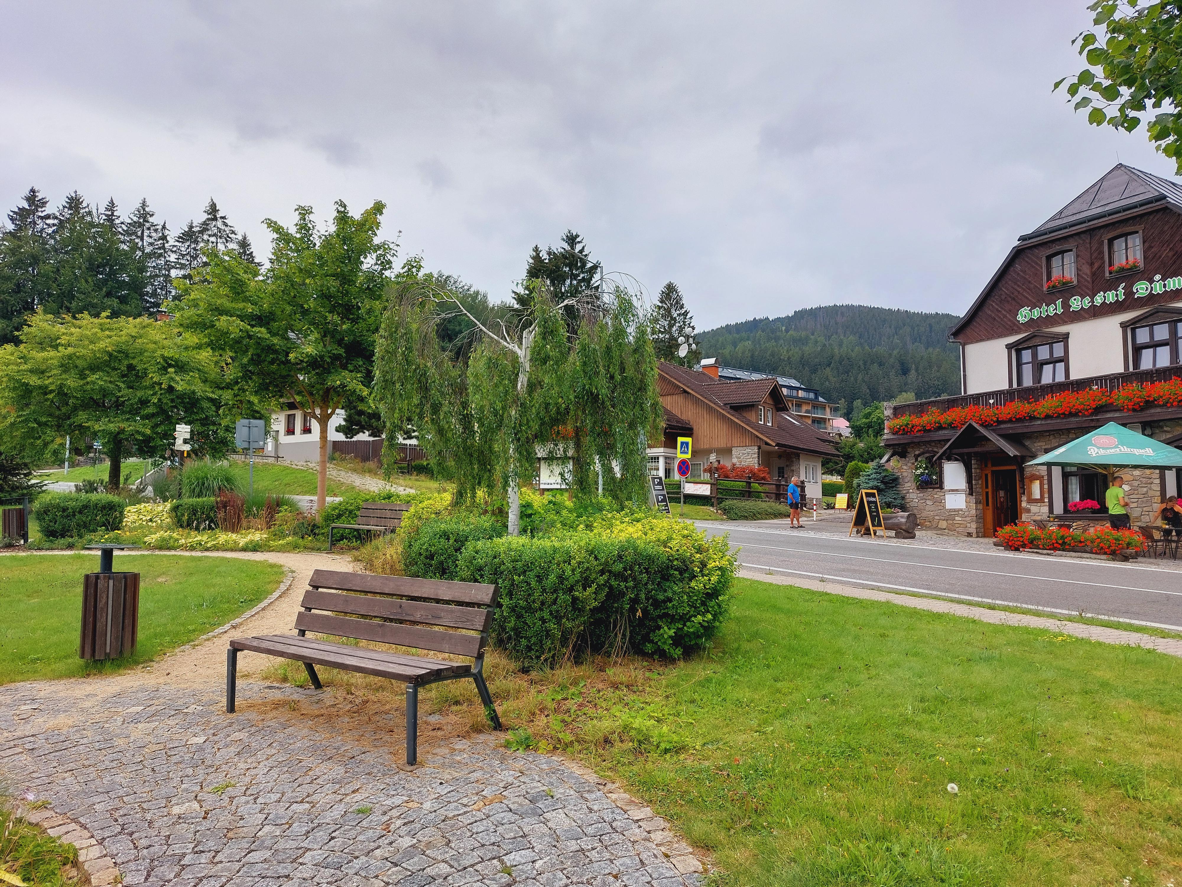 Hotel Lesní dům Janské Lázně foto 4