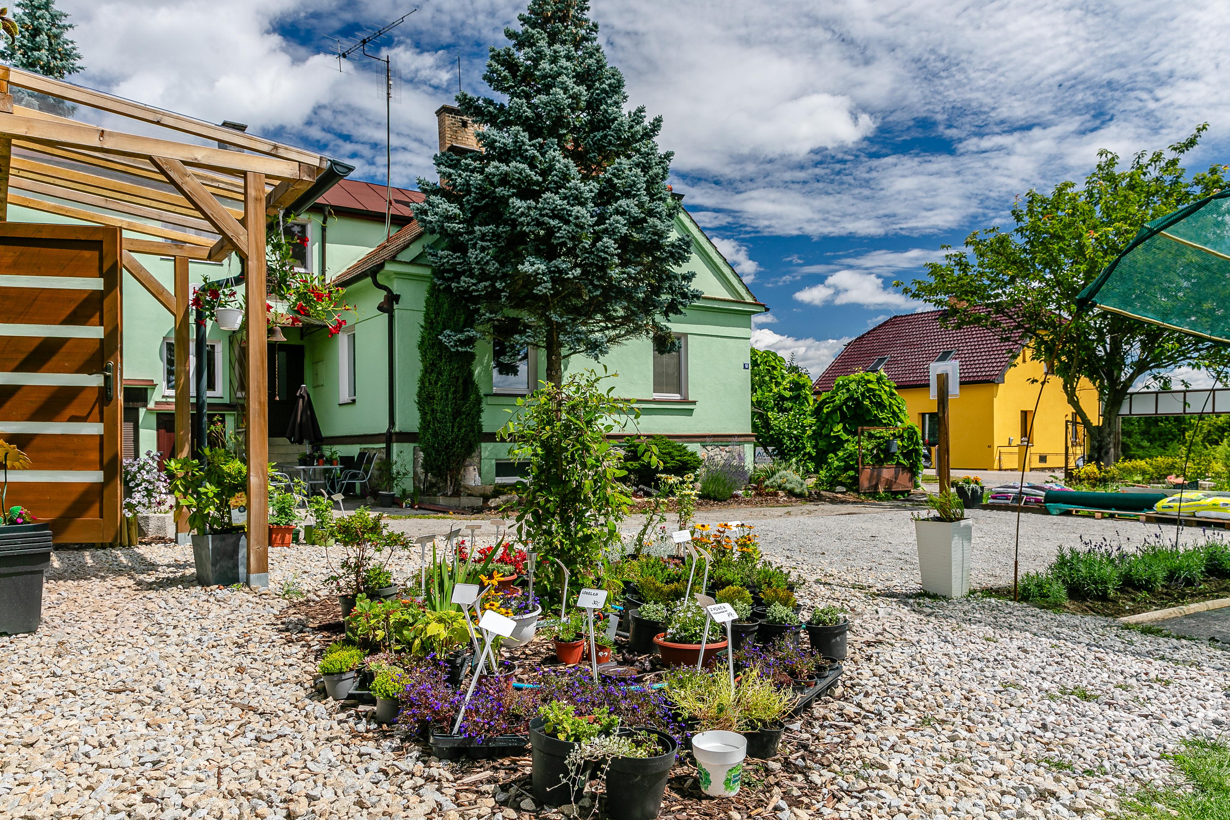 Zahradnictví Tábor – J.Reiter foto 6