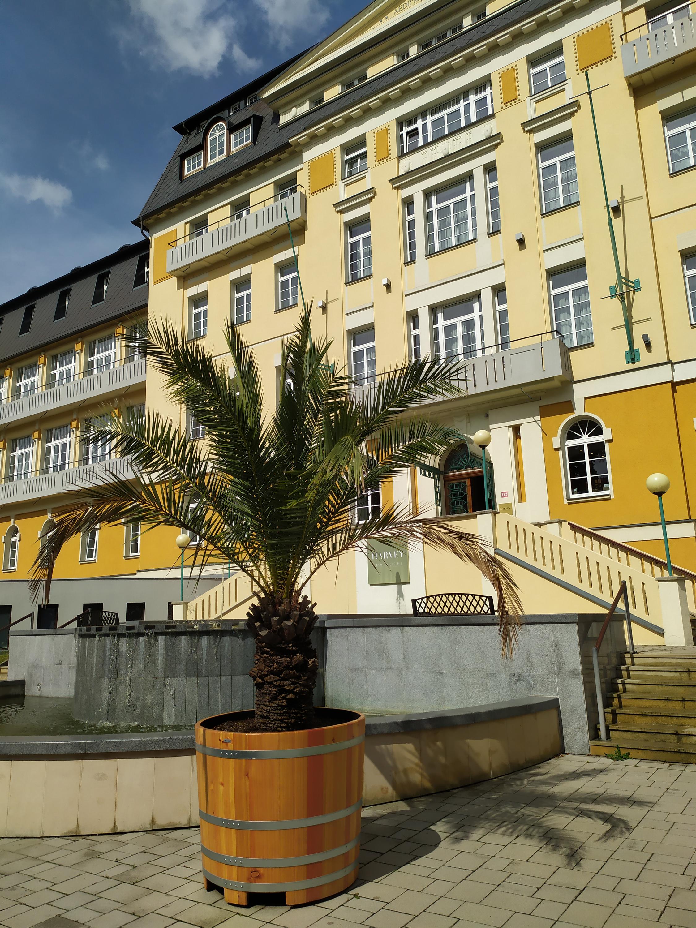 Harvey Spa Hotel foto 4