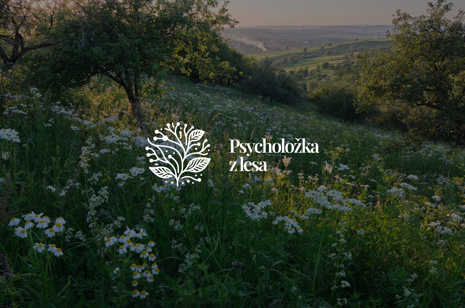 Terapie Mgr. Diana Mikulecká Doležalová foto 2