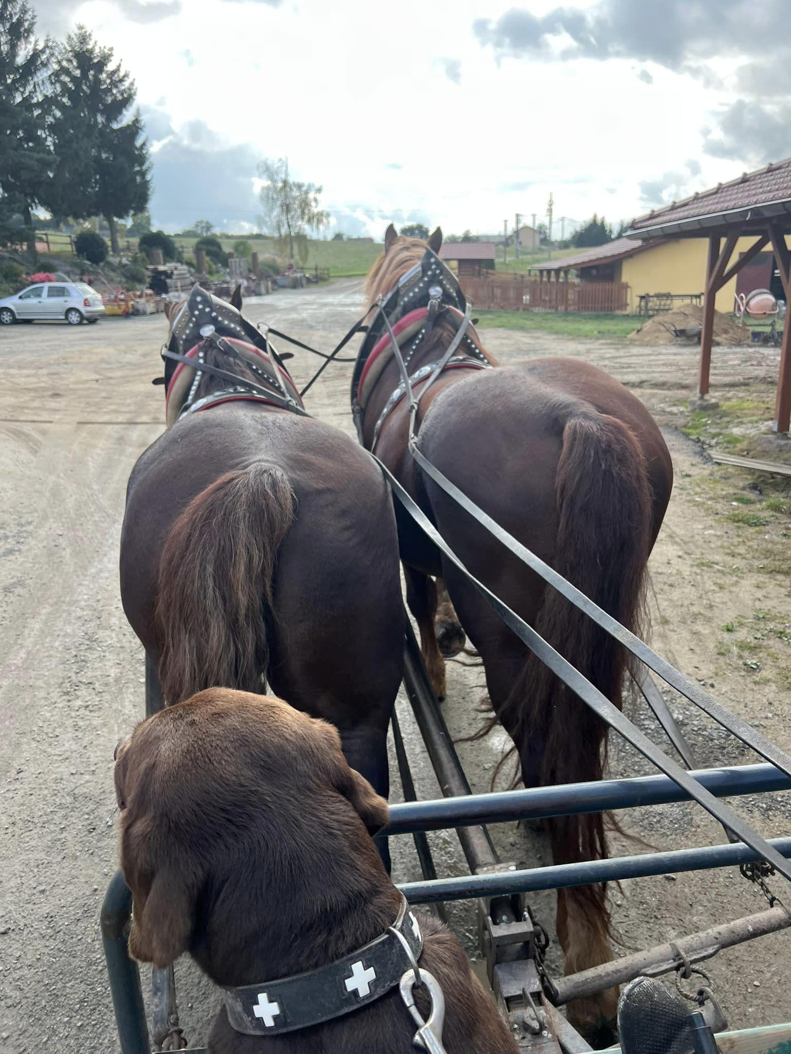 Stáje Těchov foto 2