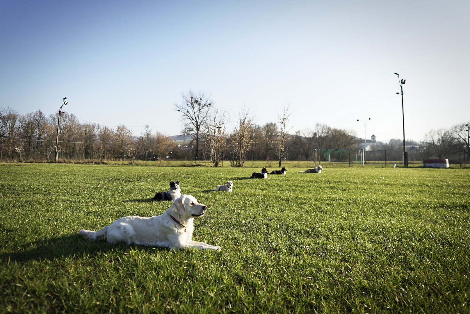 Cvičák Corre Zlín Lužkovice