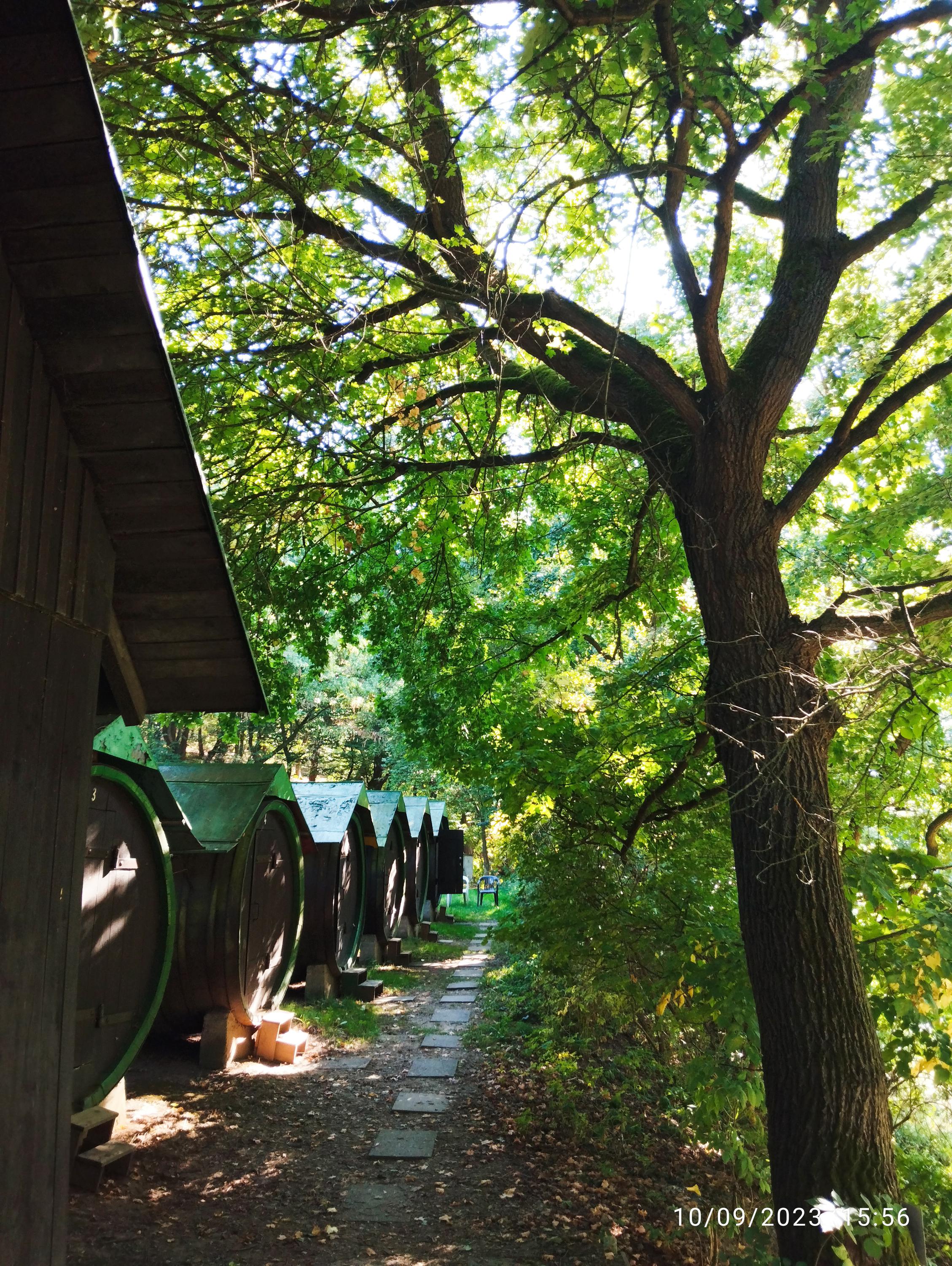 Obytné sudy Branov - soukromý camping klub foto 5