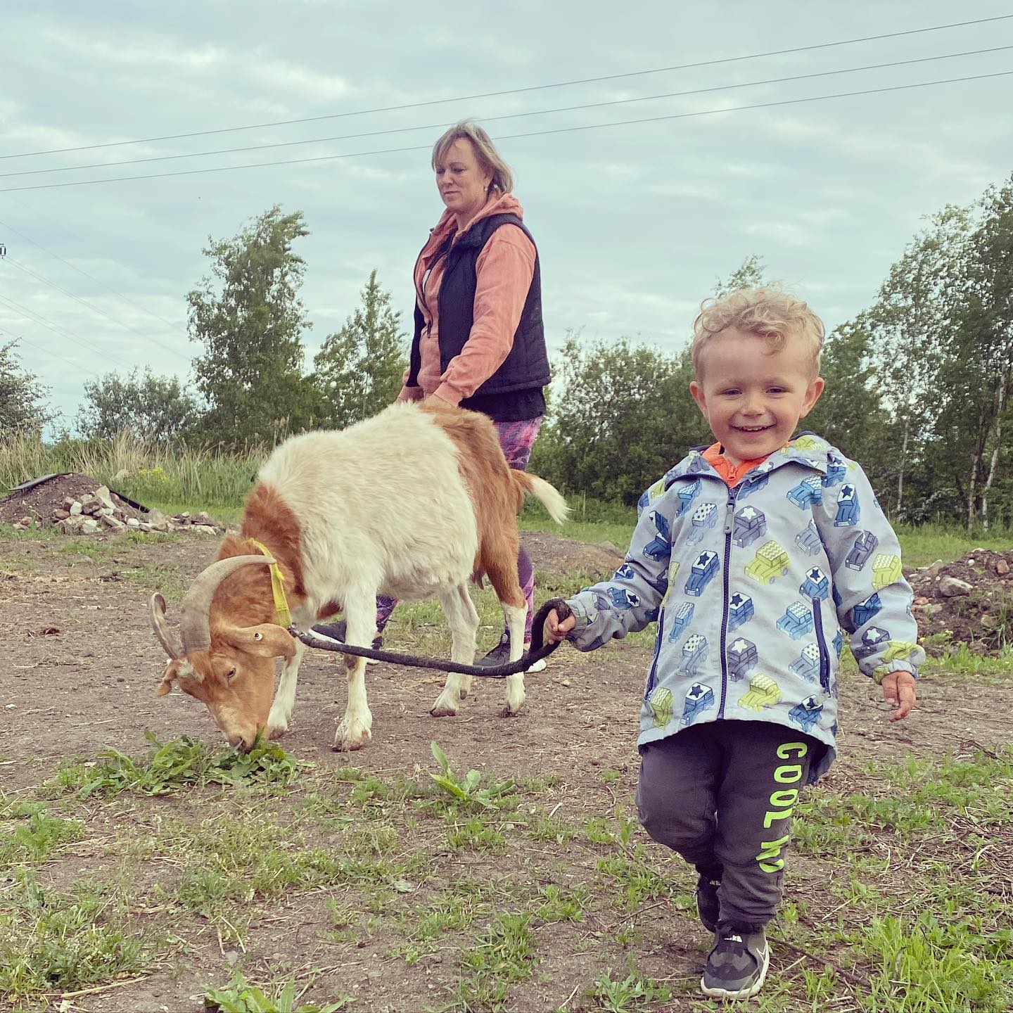 Farmička Chaba z.s. foto 4